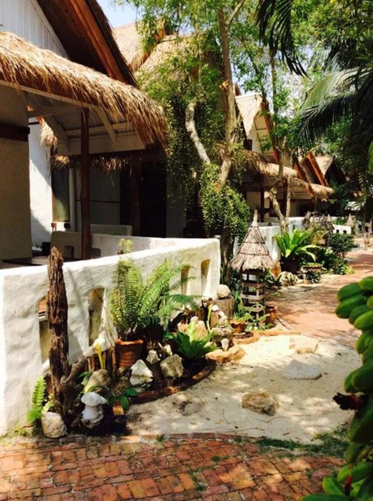 Garden in Fisherman Koh Tao