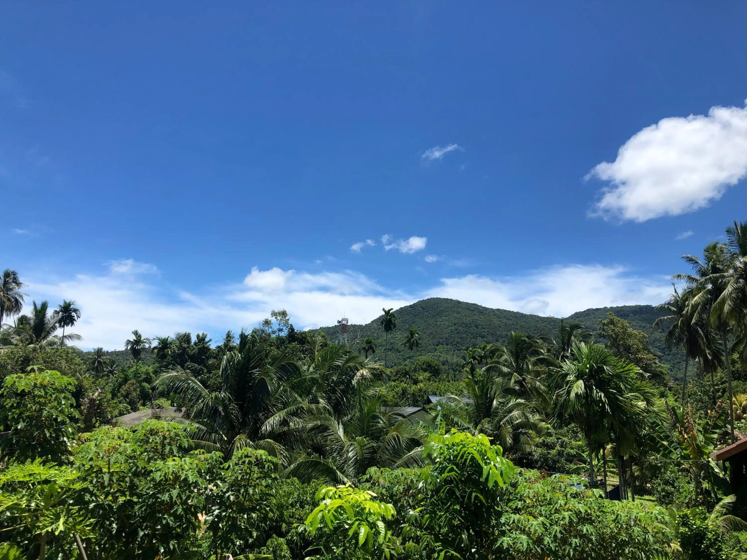 Mountain view in Yangyai Garden Lodge