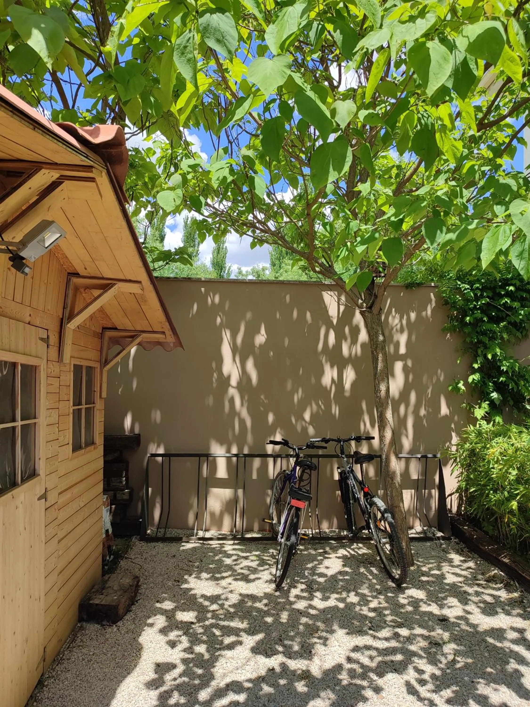 Cycling in Eco-Hotel Doña Mayor