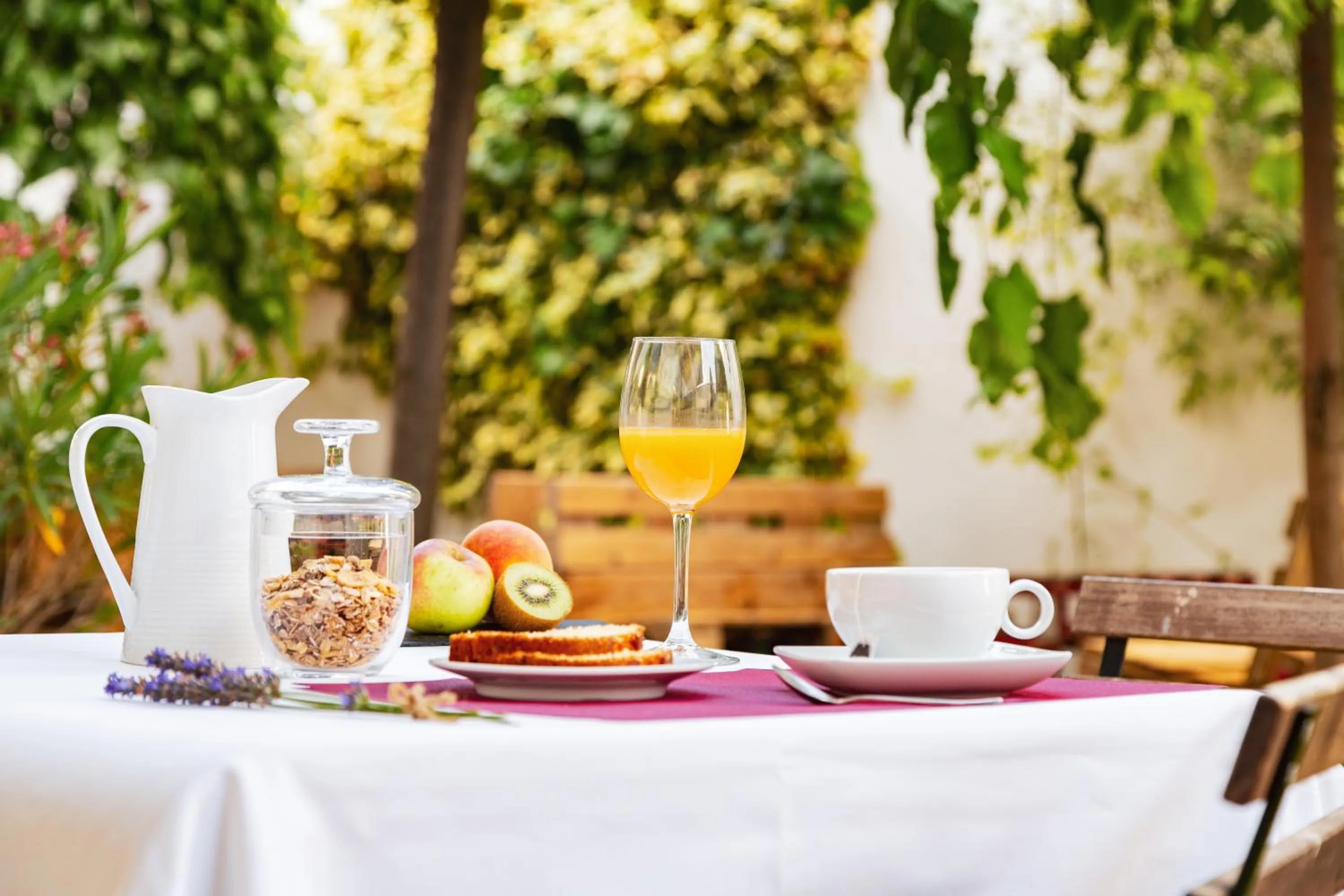 Breakfast in Eco-Hotel Doña Mayor
