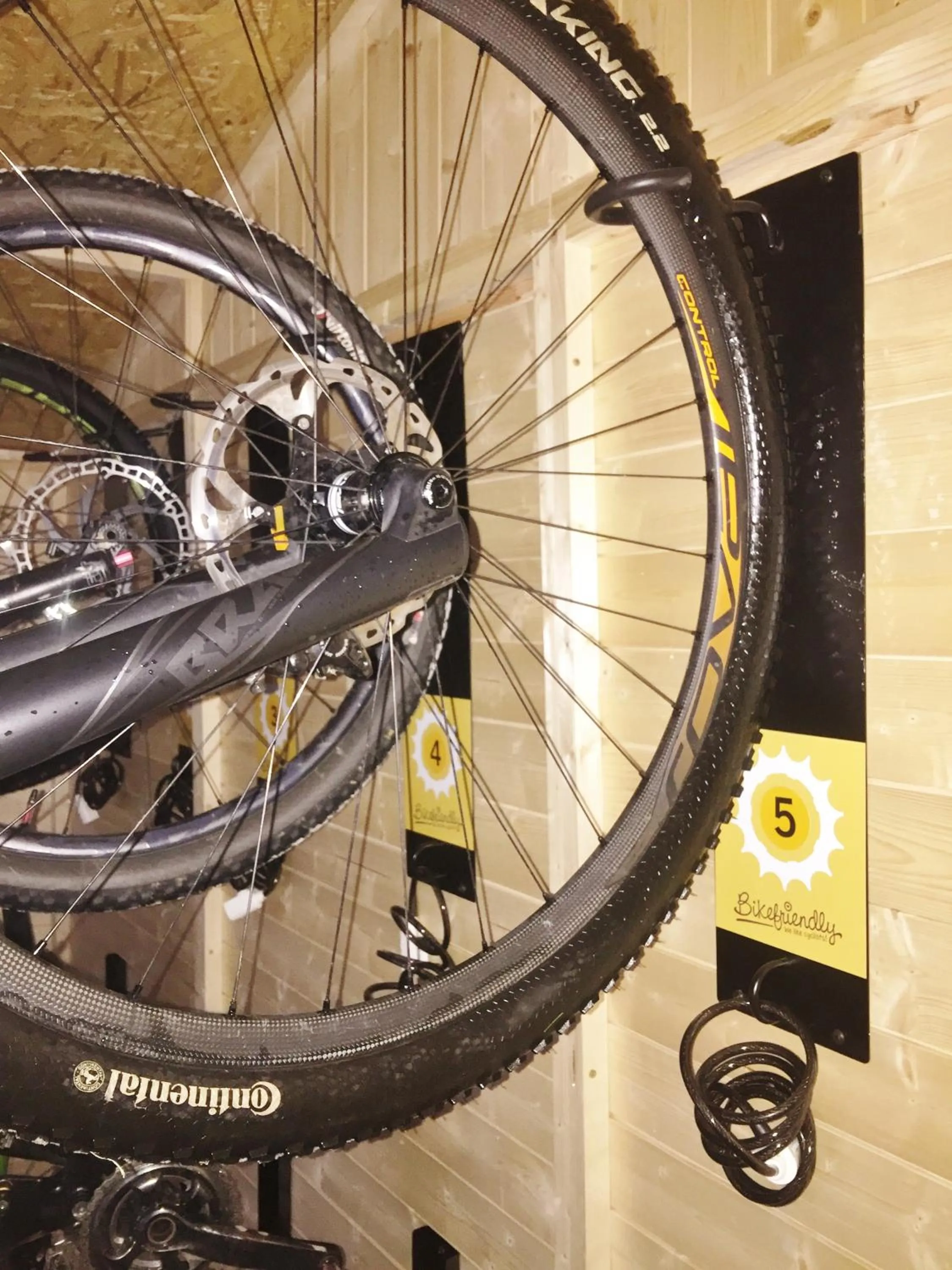 Cycling in Eco-Hotel Doña Mayor