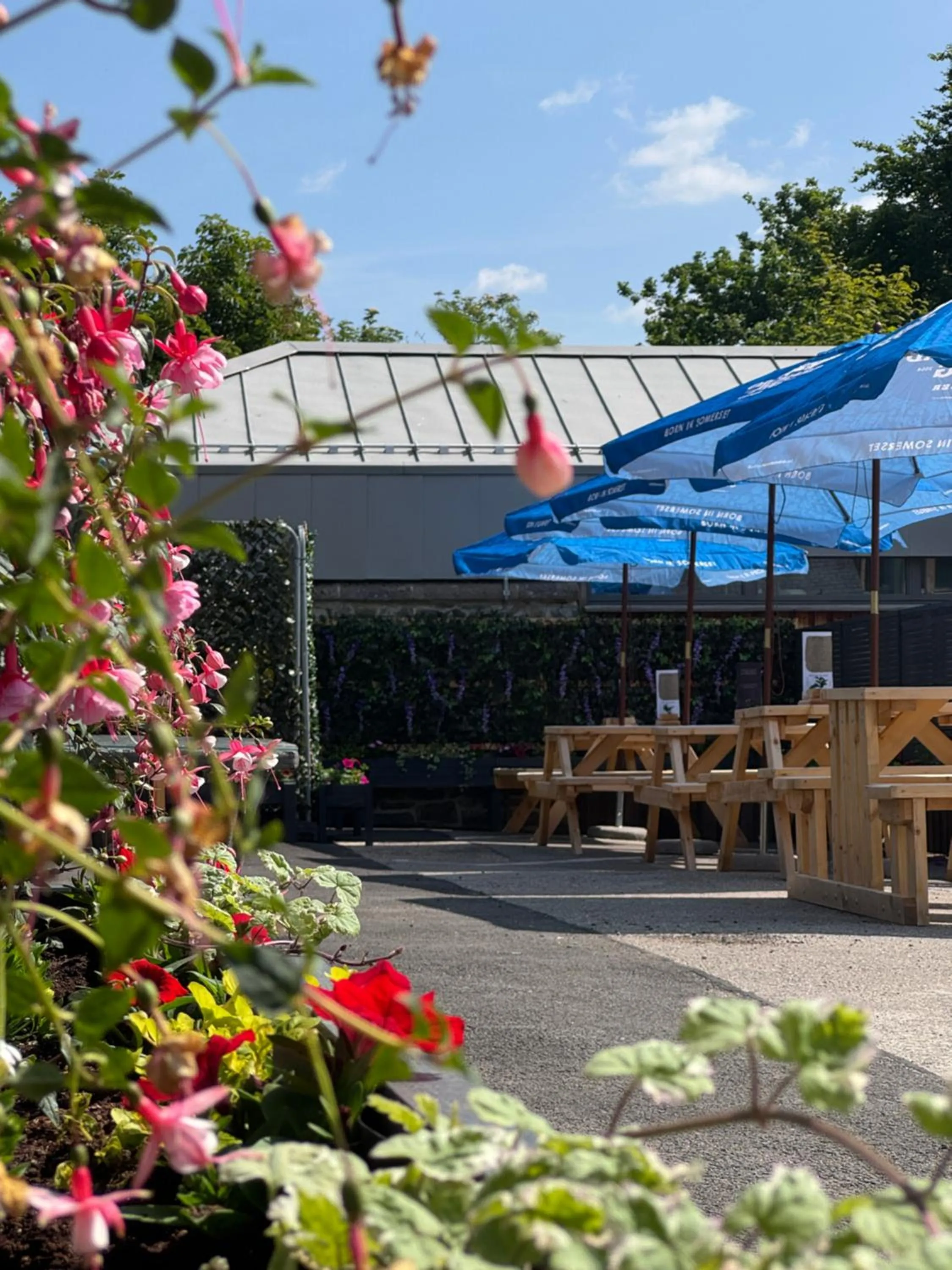 Garden view in Star Hotel Kingussie