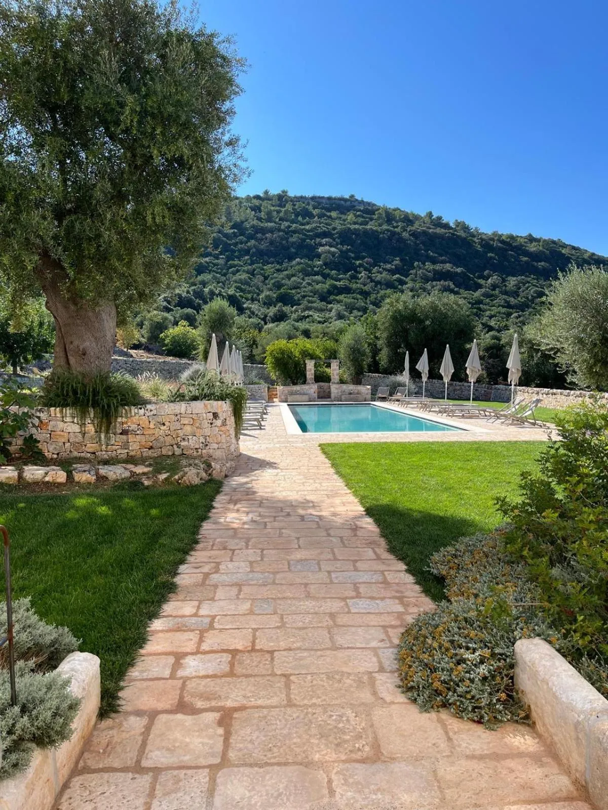 Swimming pool in Masseria Morrone