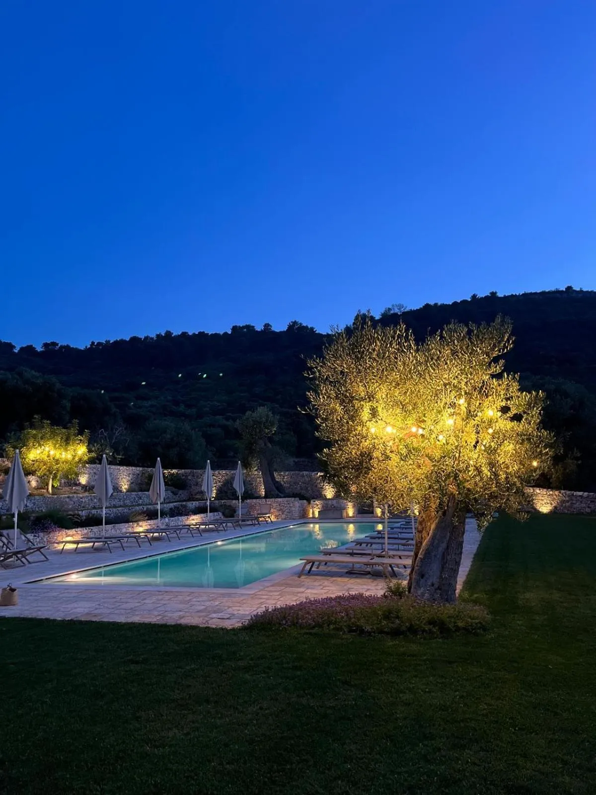 Swimming pool in Masseria Morrone