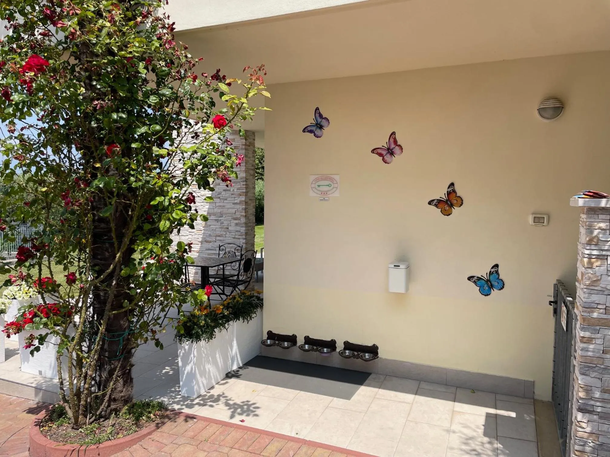 Garden view in Hotel Panoramica