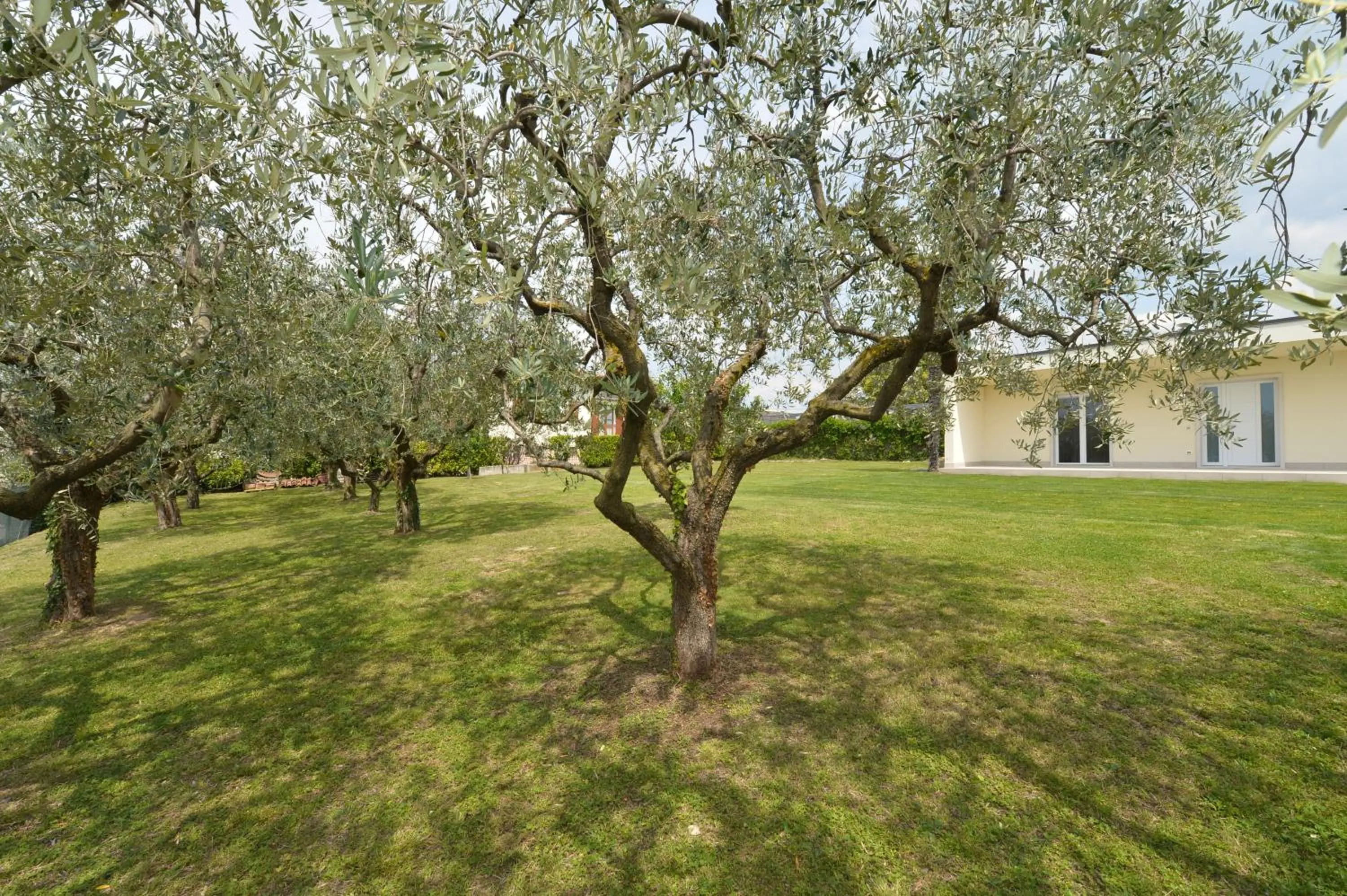 Spring in Hotel Panoramica