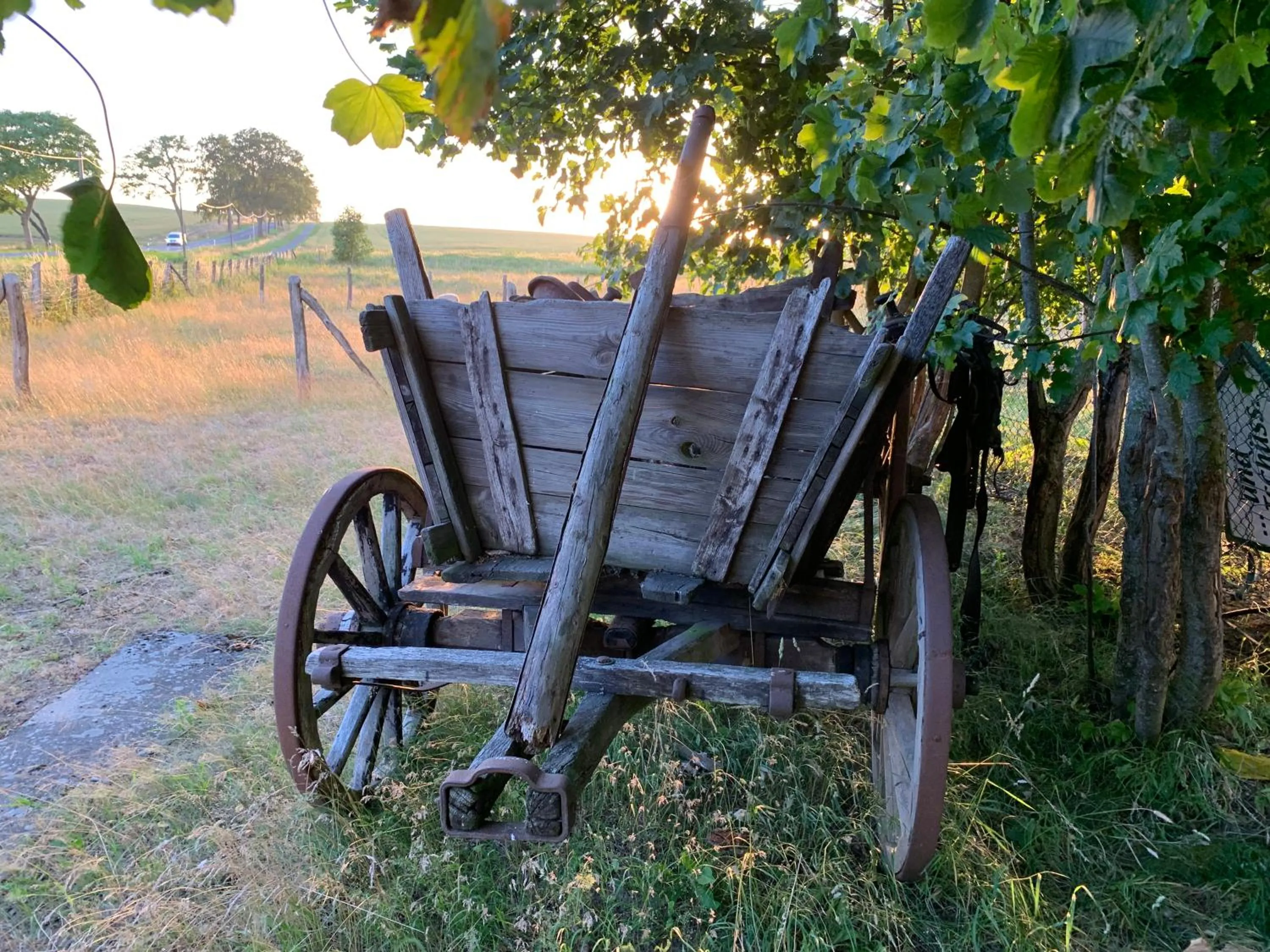 Garden in Himmelreich Rügen