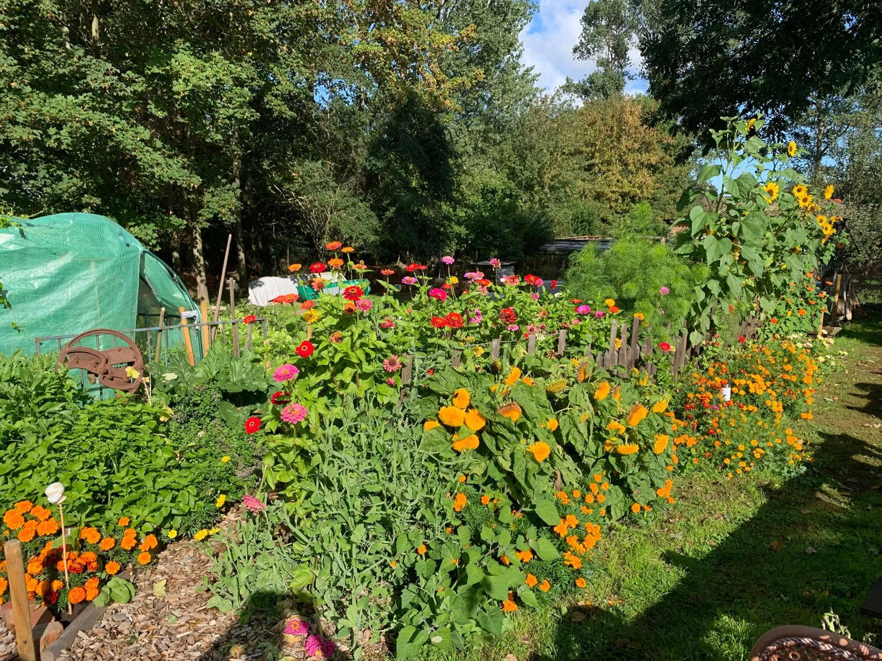 Garden in Himmelreich Rügen