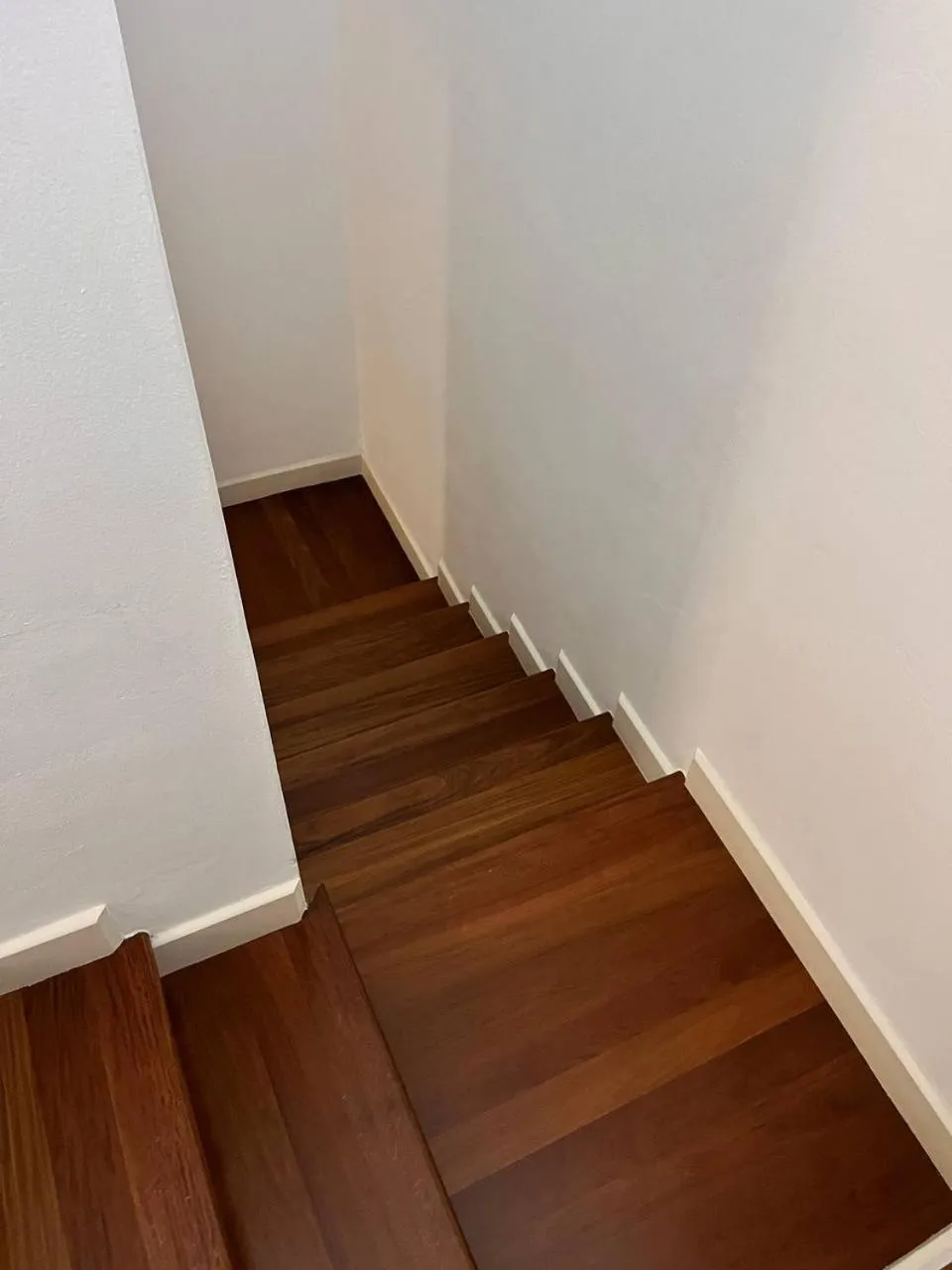 Avanguardia Art Club