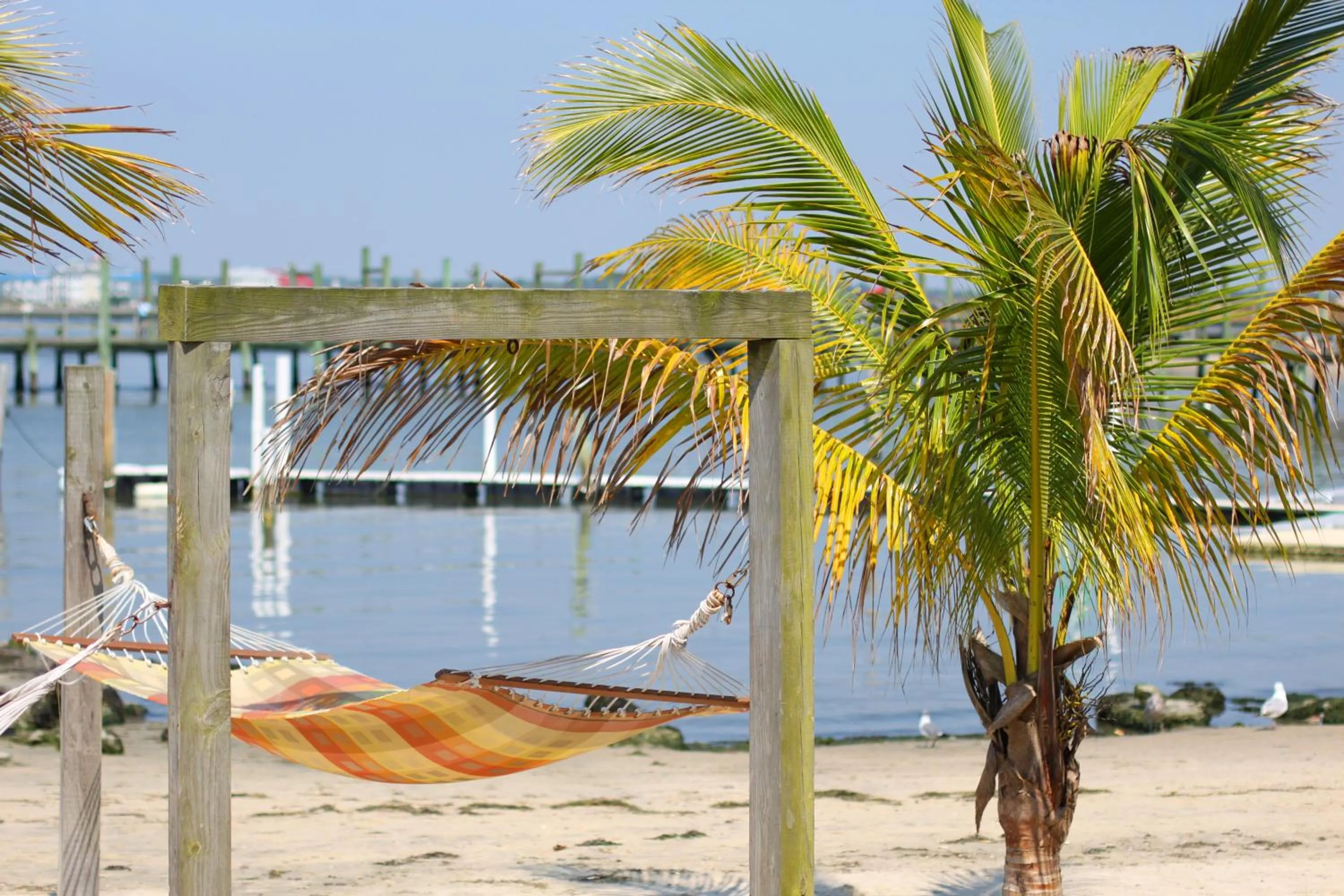 Area and facilities in Oceanic Motel