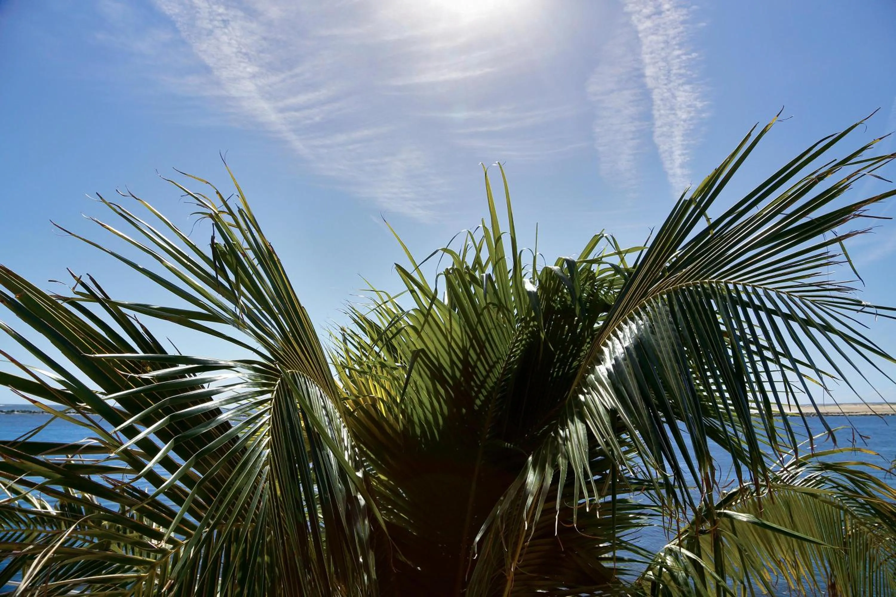 Decorative detail in Oceanic Motel