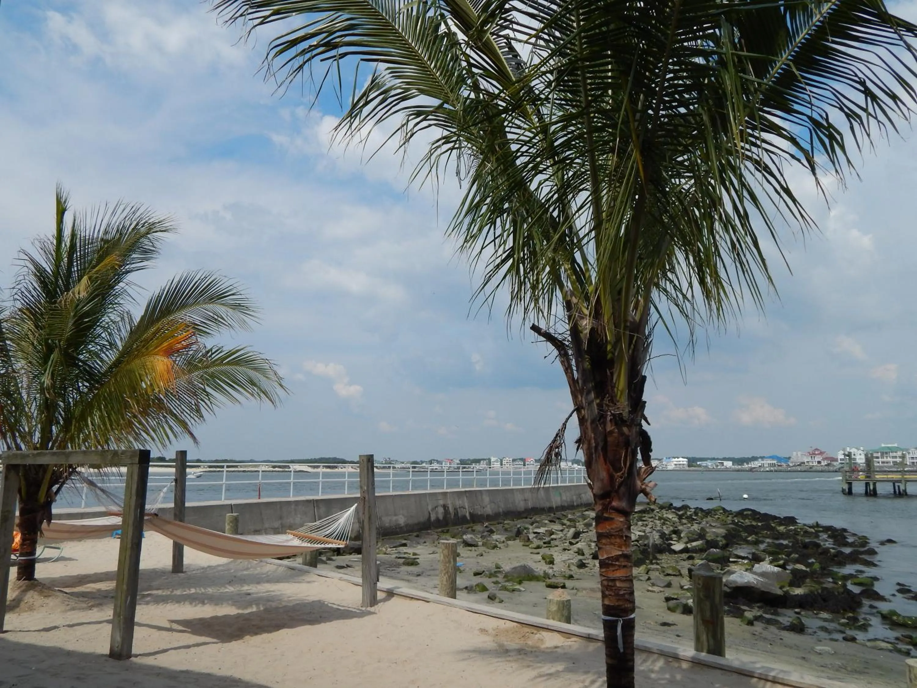 Area and facilities in Oceanic Motel