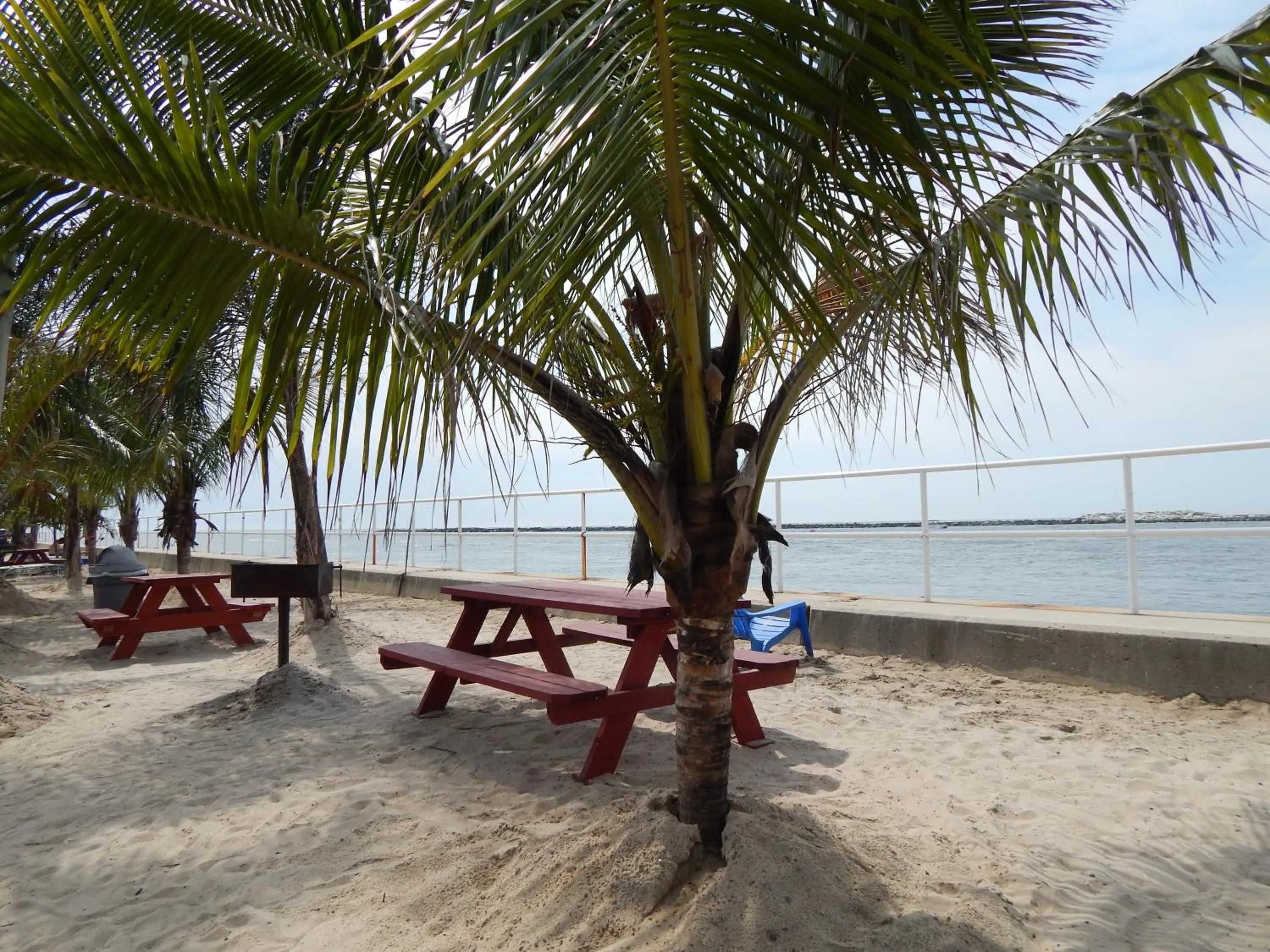 Area and facilities in Oceanic Motel