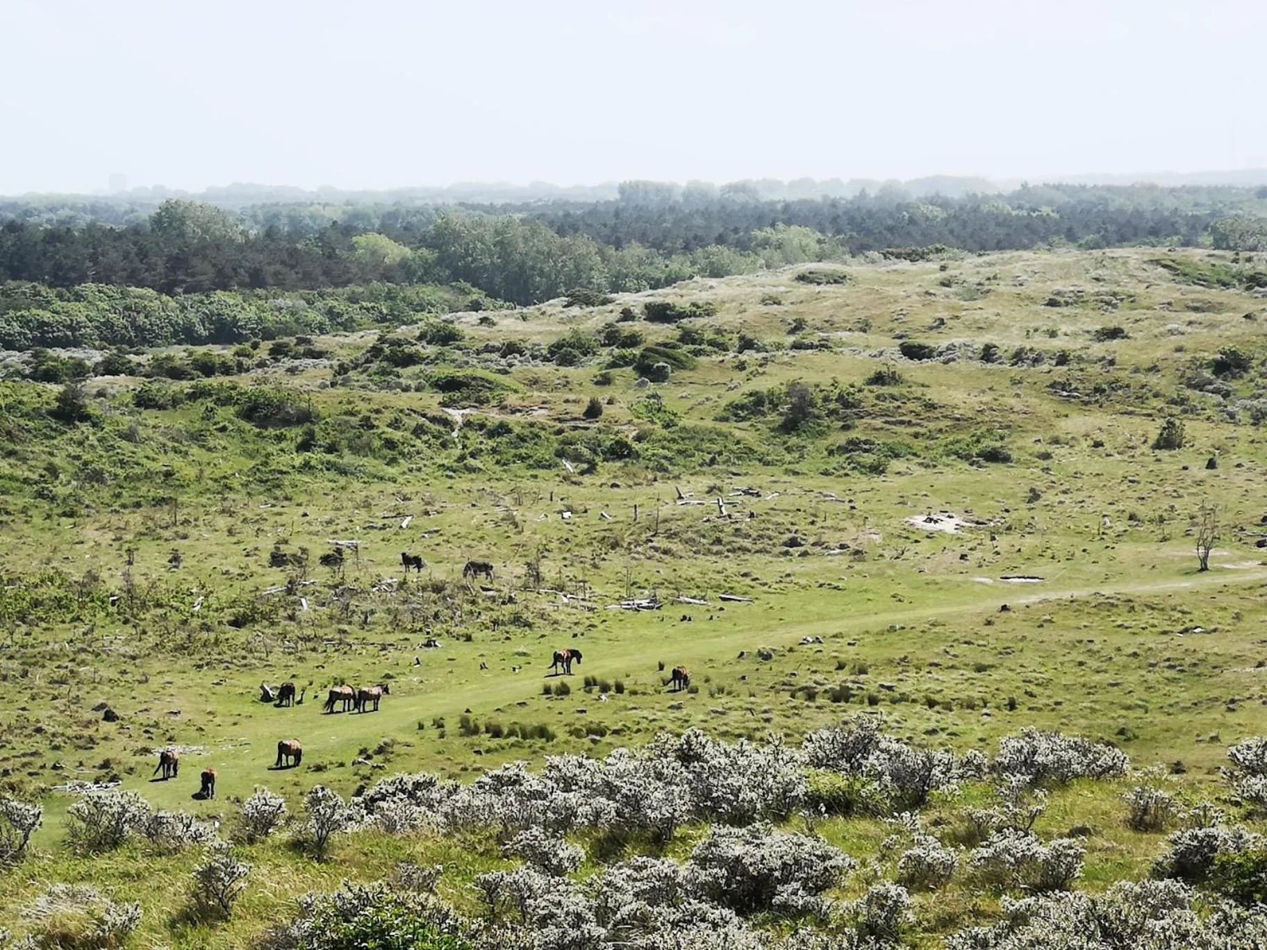 Natural landscape in B&B Habitat