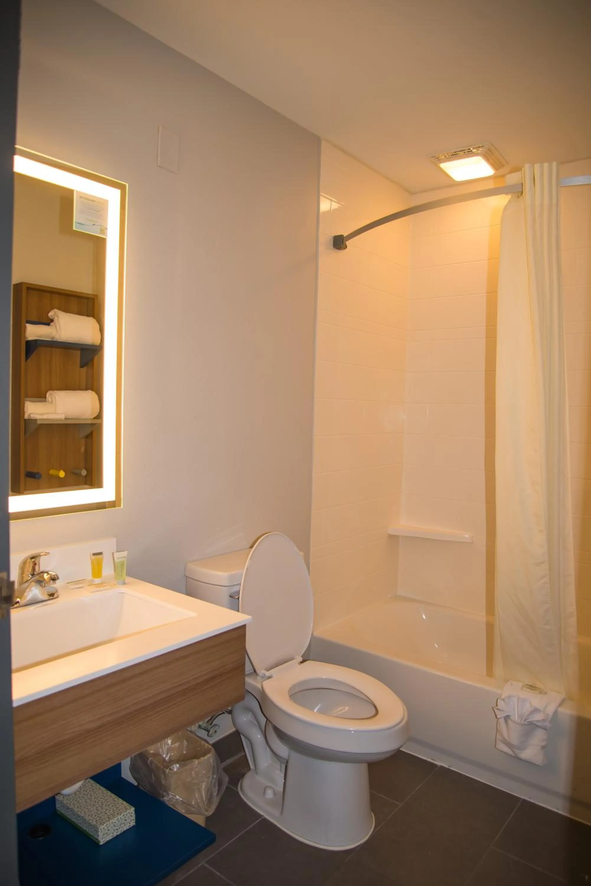 Toilet in Microtel Inn & Suites by Wyndham Daphne