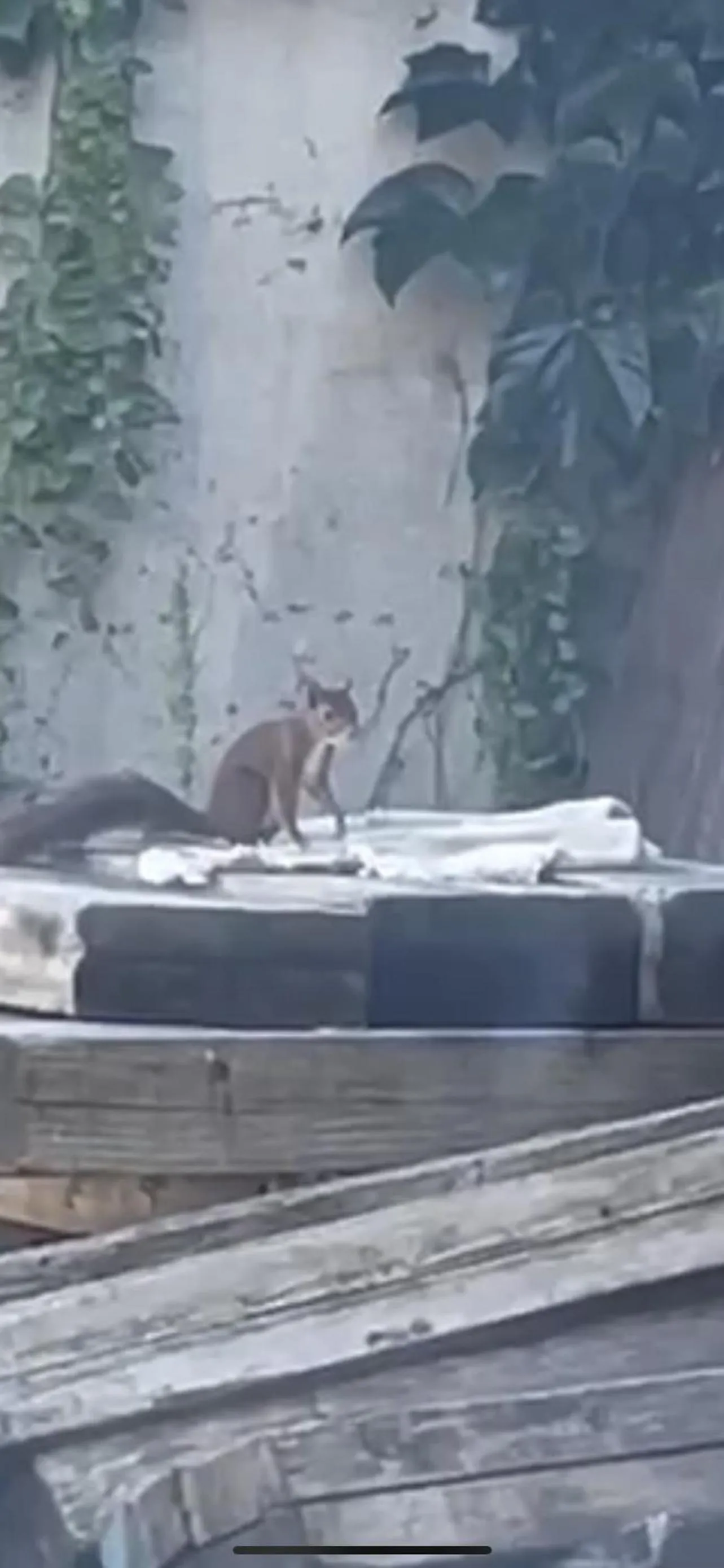 Patio in Hôtel du Commerce