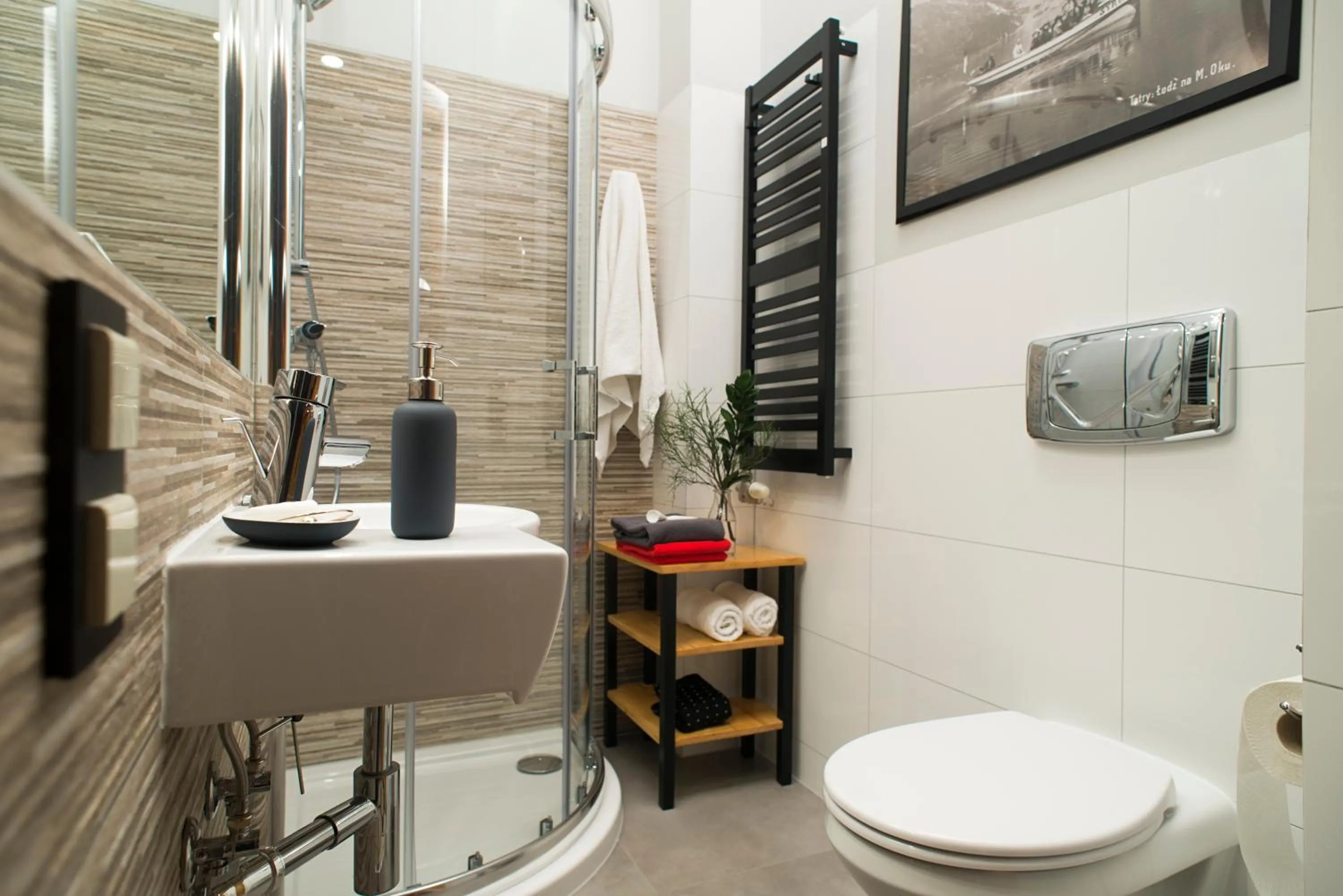 Shower in Apartamenty ApartArt Zakopane