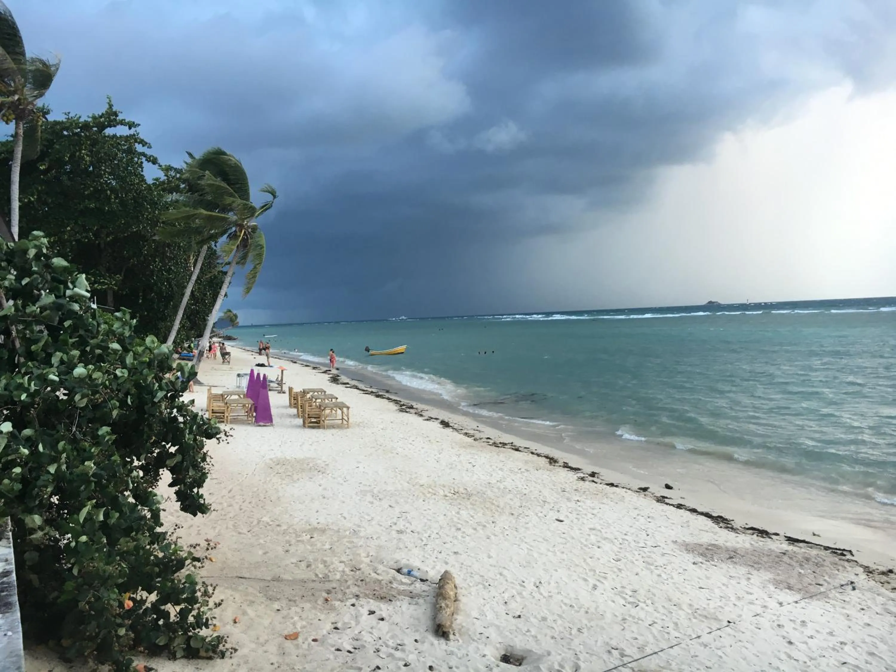 Day in Jungle Hut Bungalows & Hotel