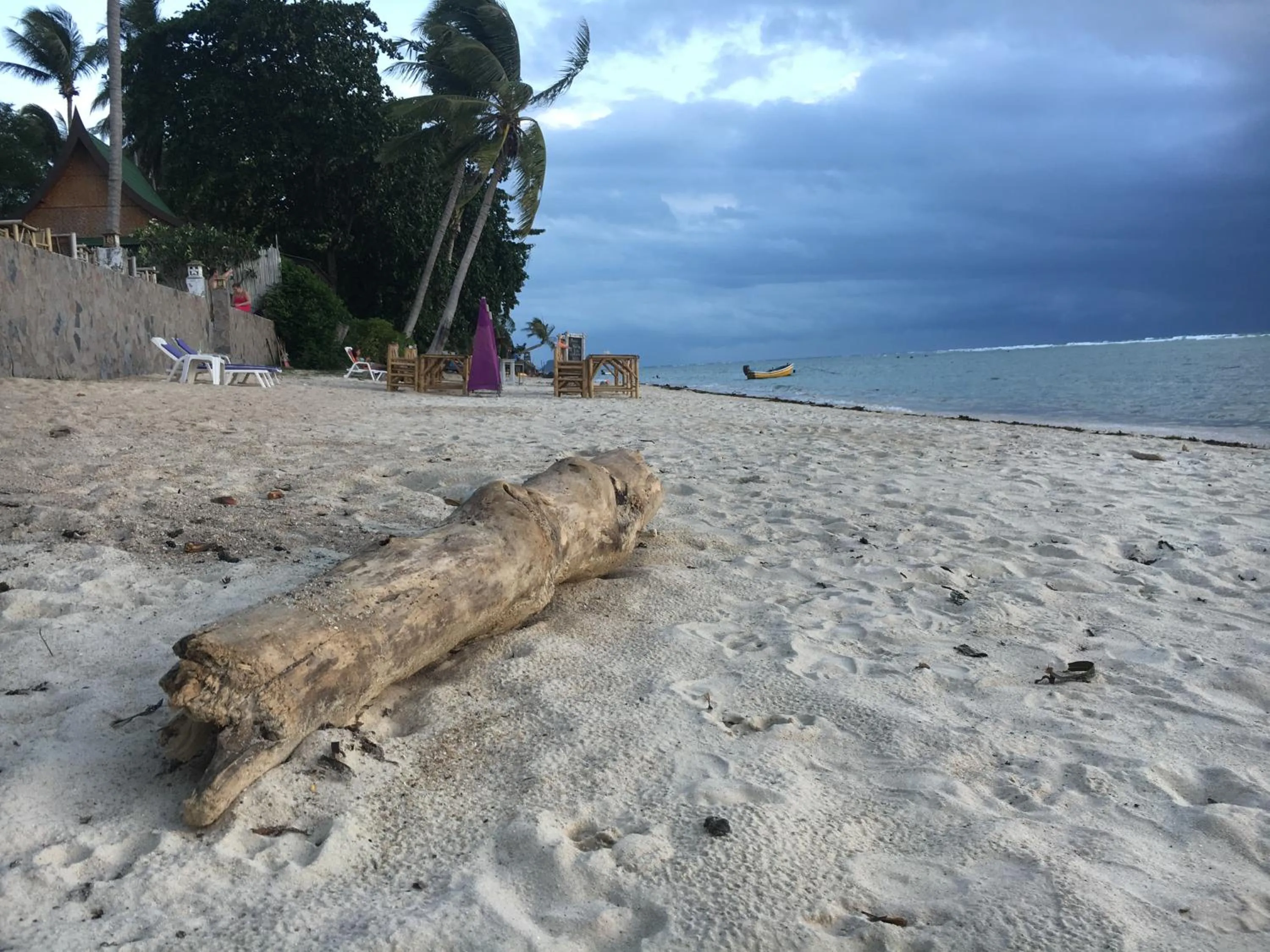 Jungle Hut Bungalows & Hotel