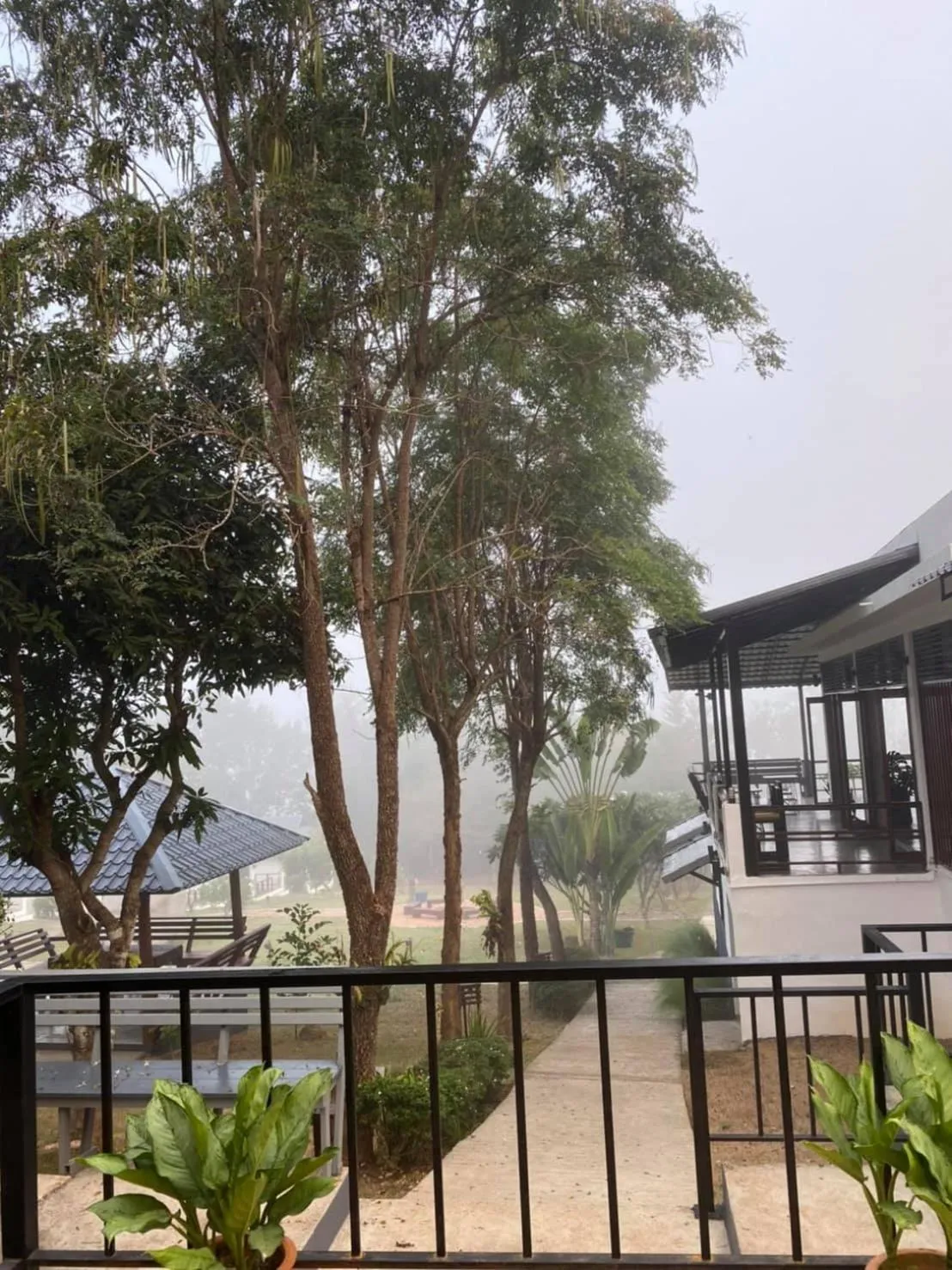 Natural landscape in Diamond Village Pai