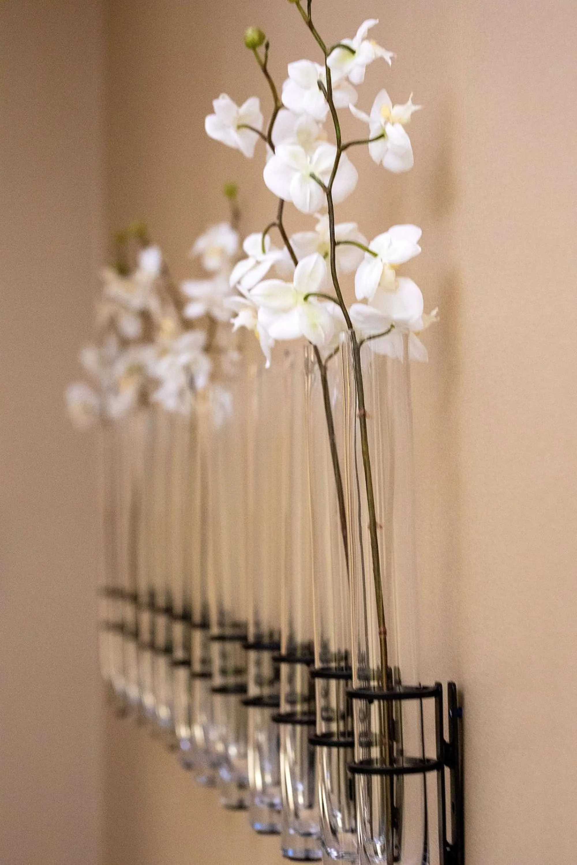 Spa and wellness centre/facilities in Hilton Anatole