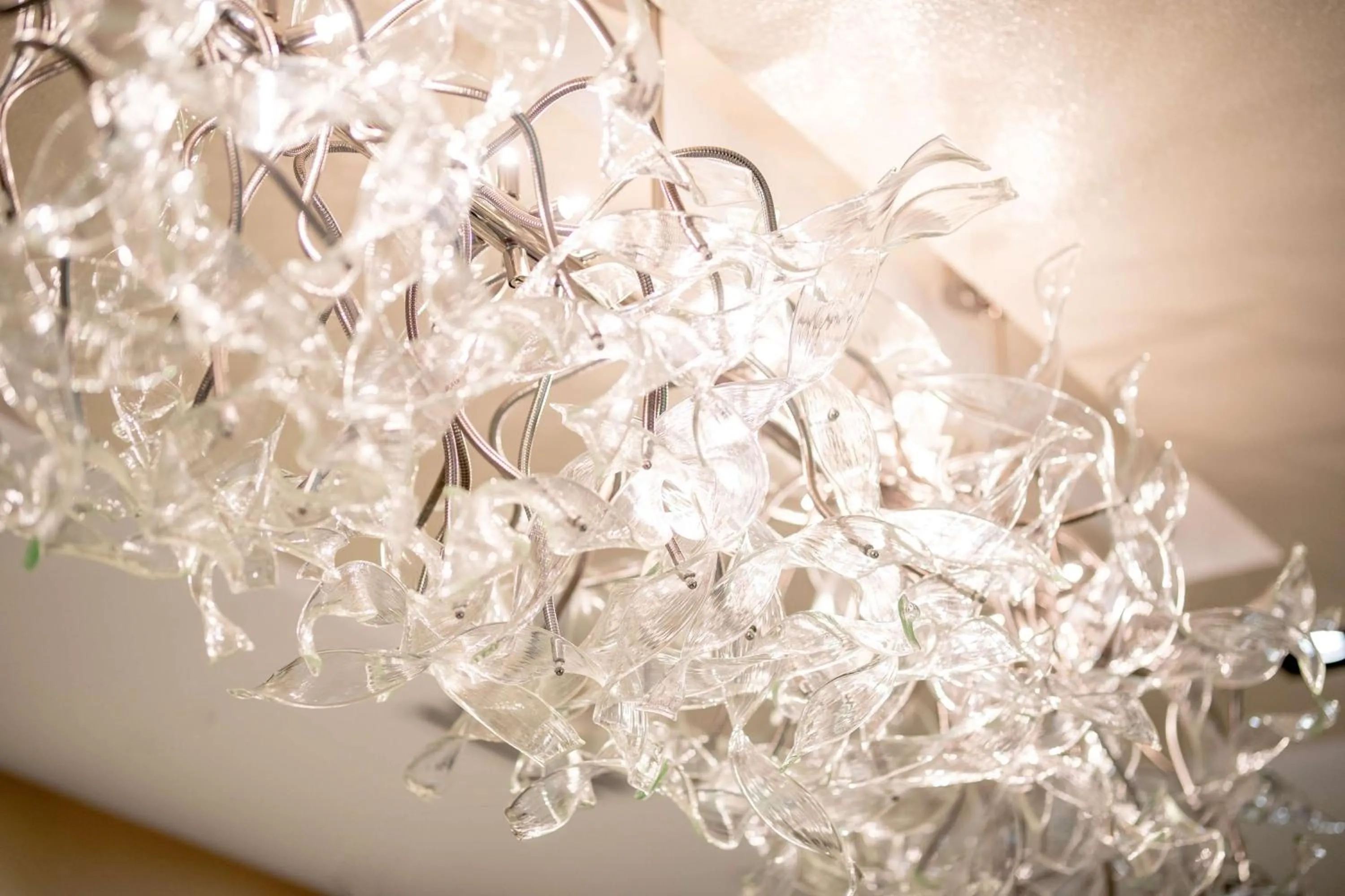 Spa and wellness centre/facilities in Hilton Anatole