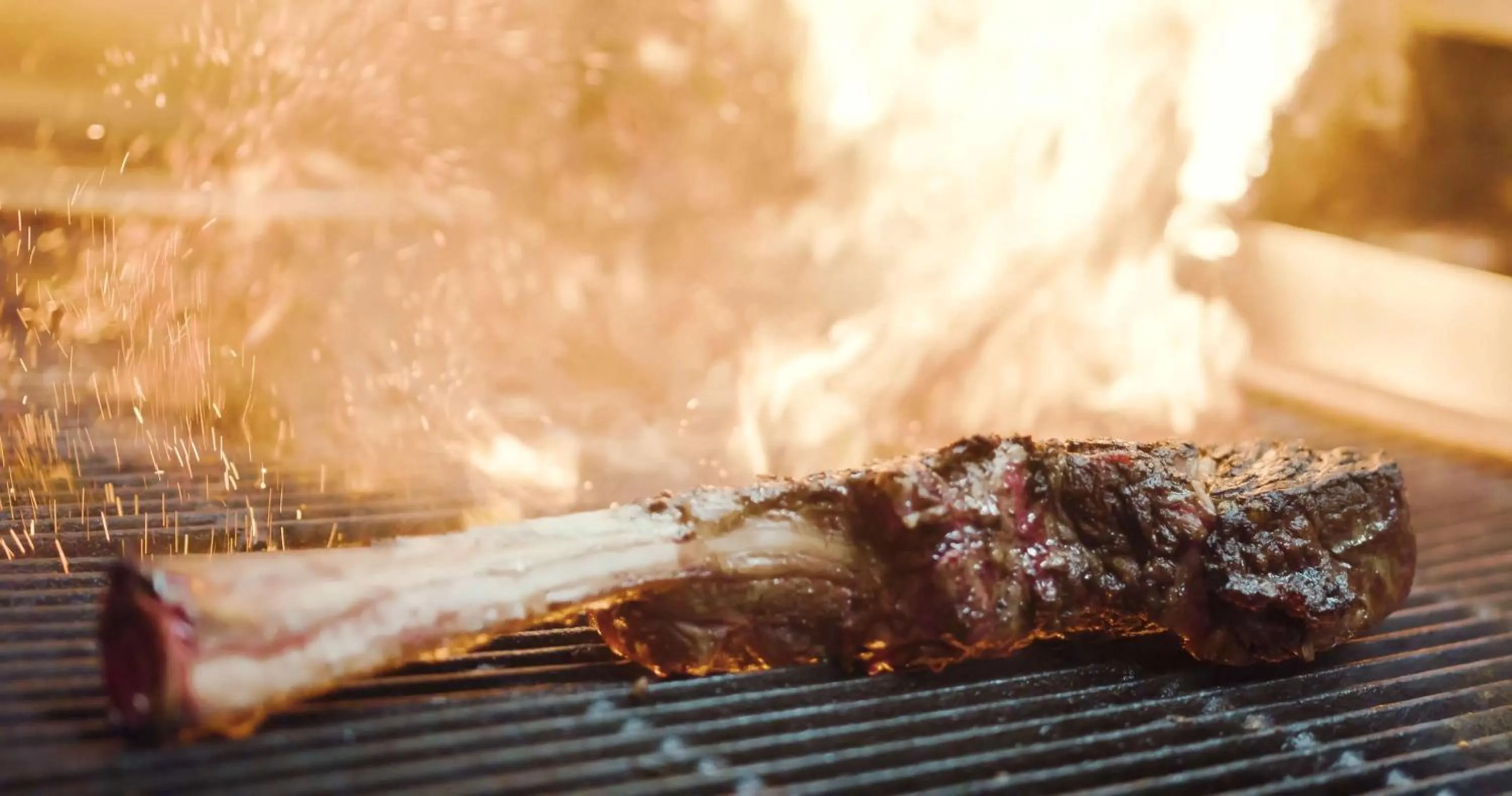 Restaurant/places to eat in Hilton Anatole