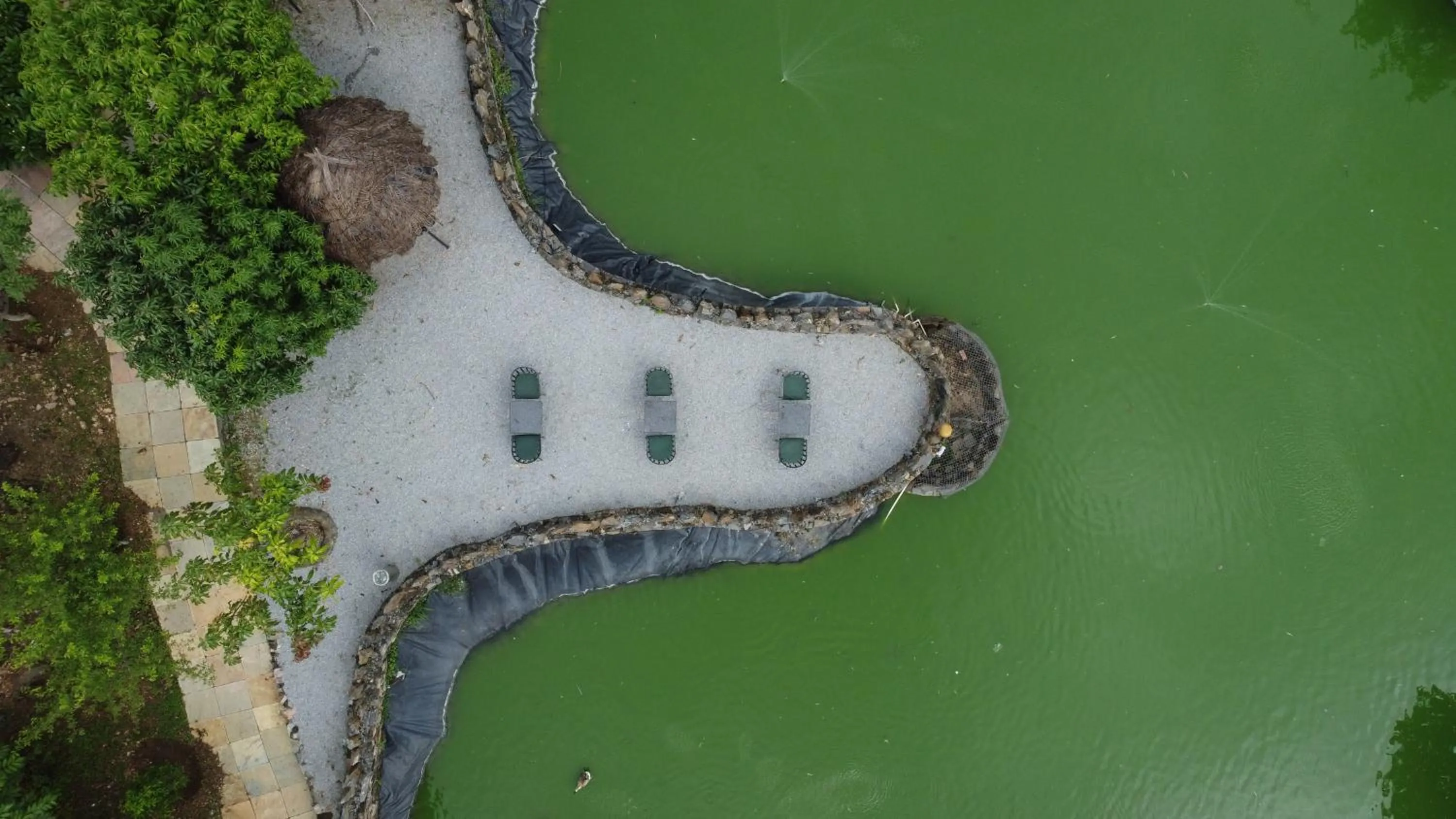 Natural landscape in Bella Basera