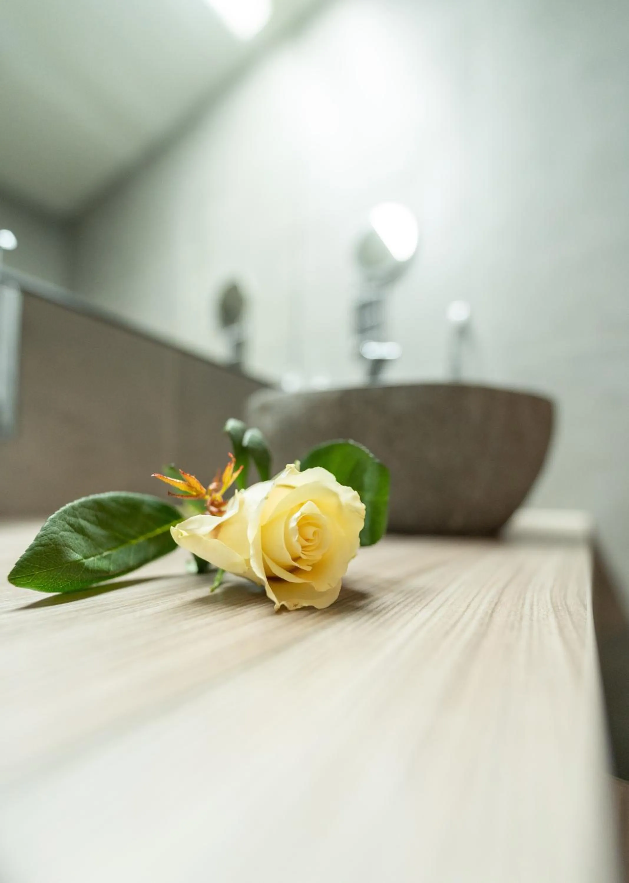 Bathroom in Bernstein Salzlandcenter