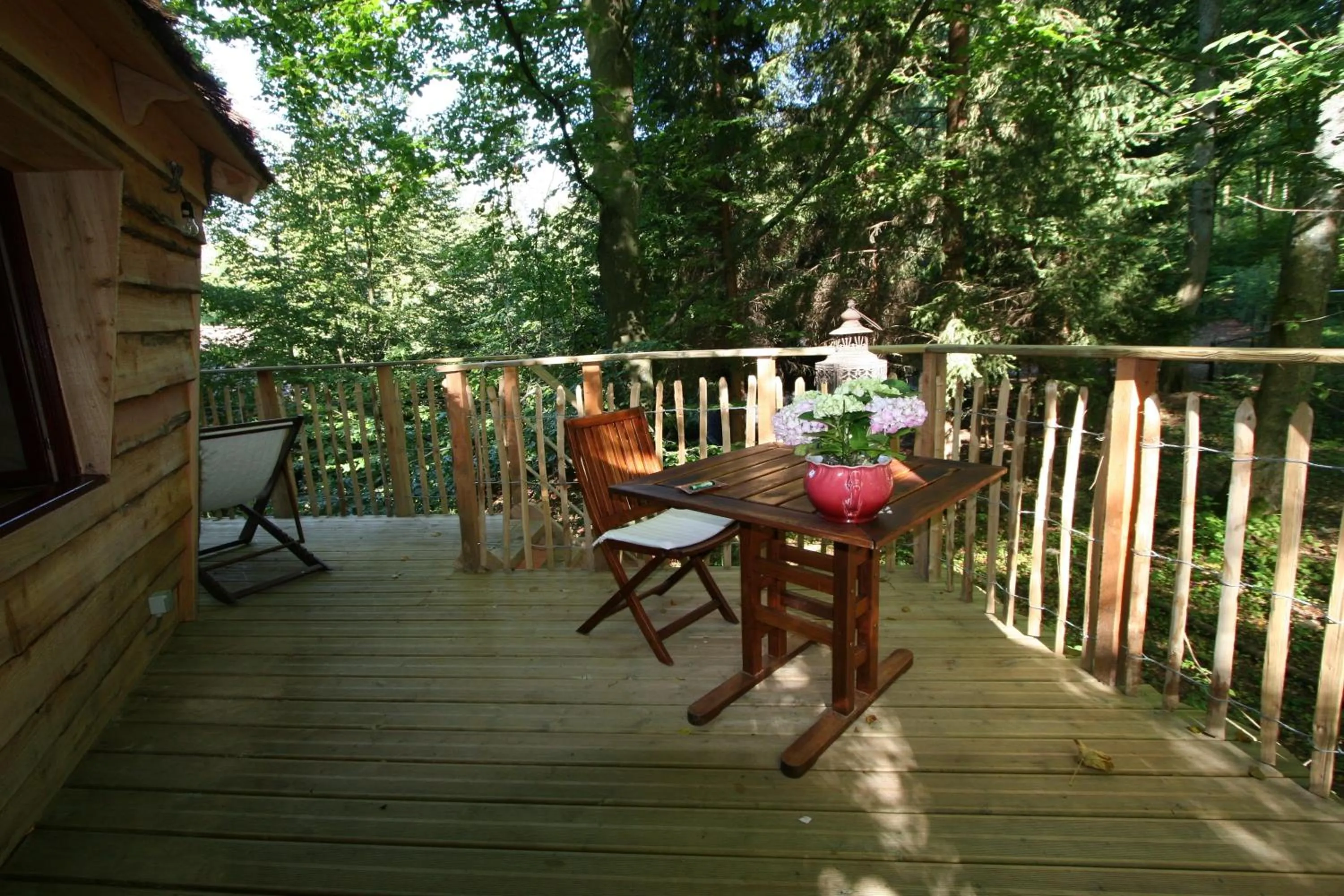 B&B La Cabane du Bois Dormant