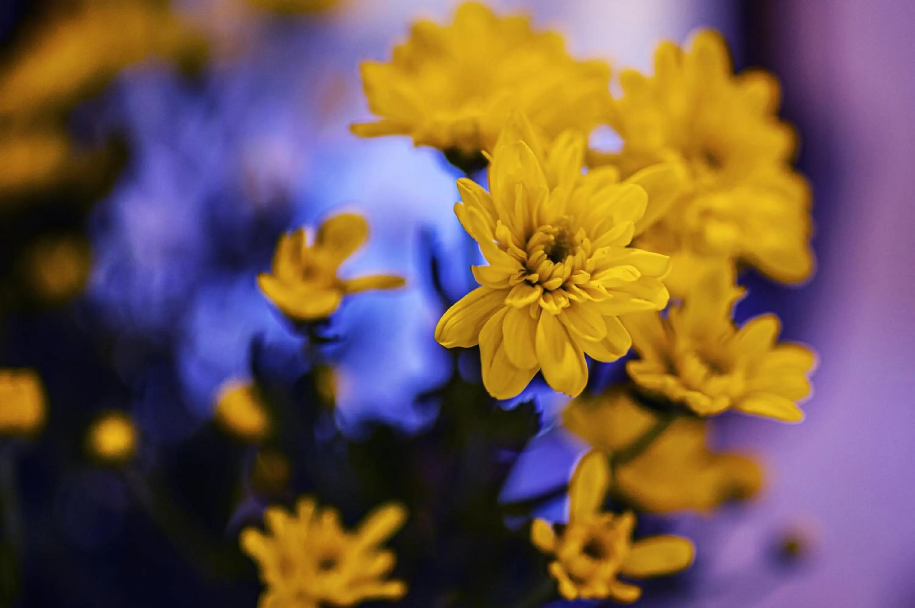 Foresteria Bergamo Bella B&B