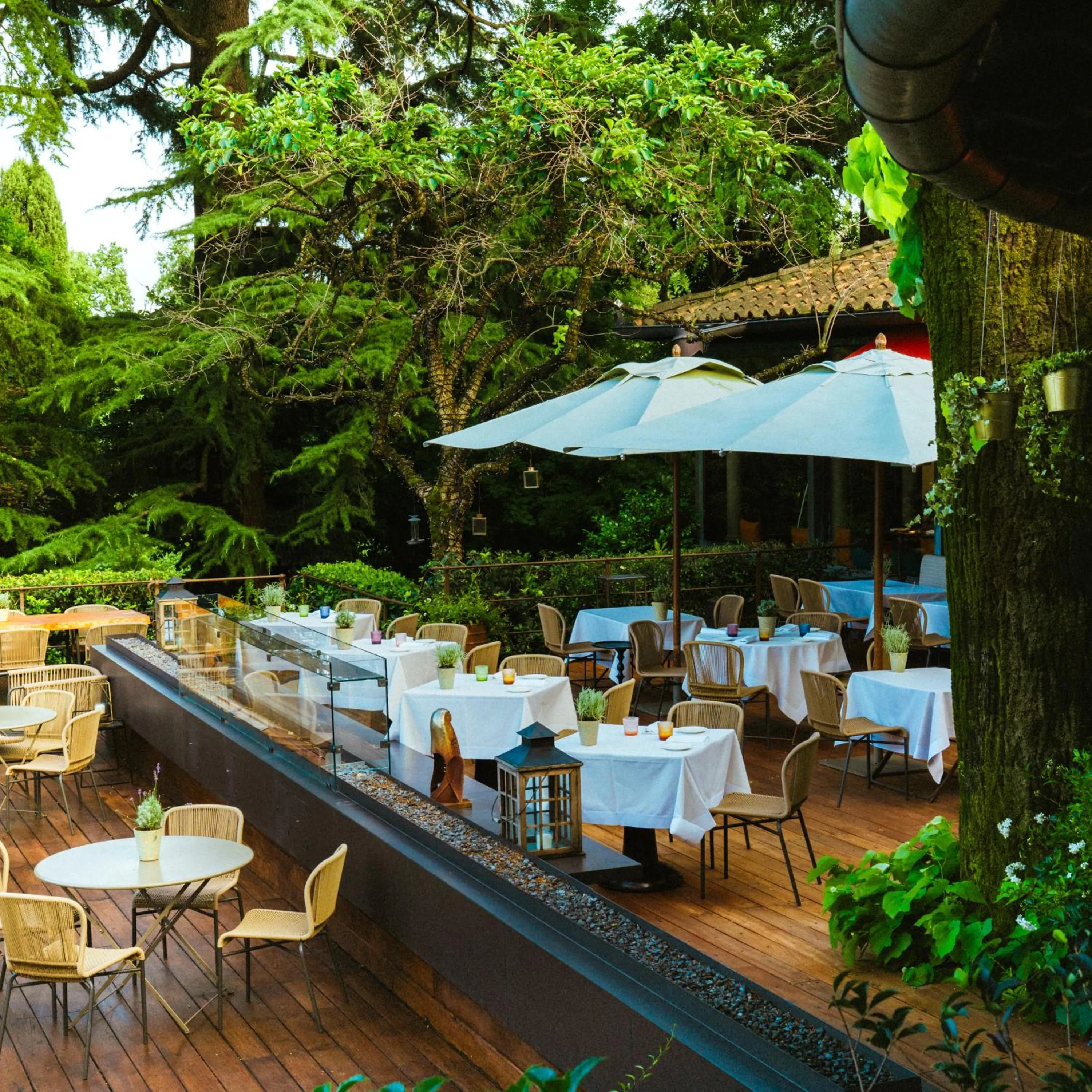 Restaurant/places to eat in L'Albereta Relais & Chateaux