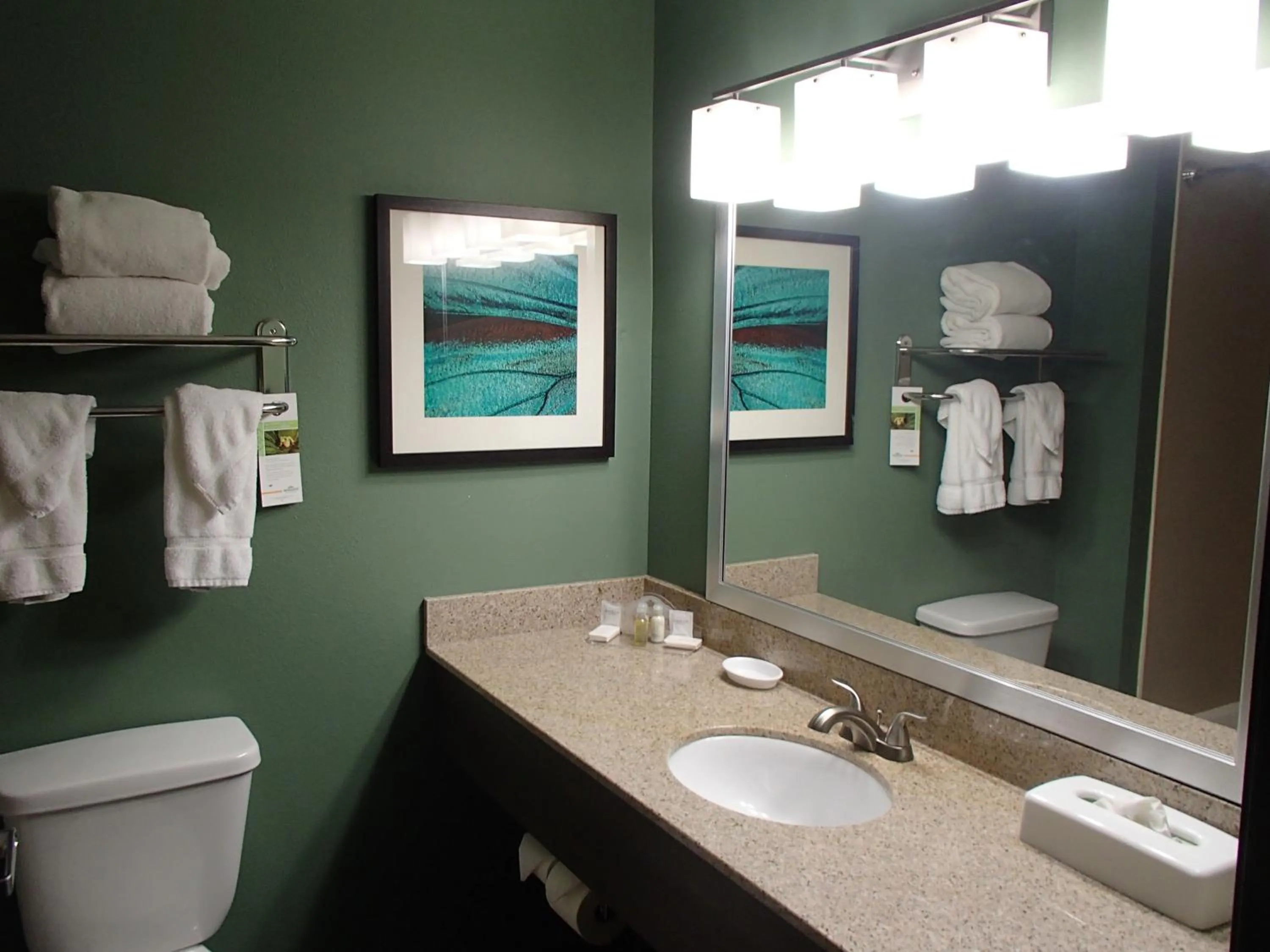 Bathroom in Wingate by Wyndham Bossier City