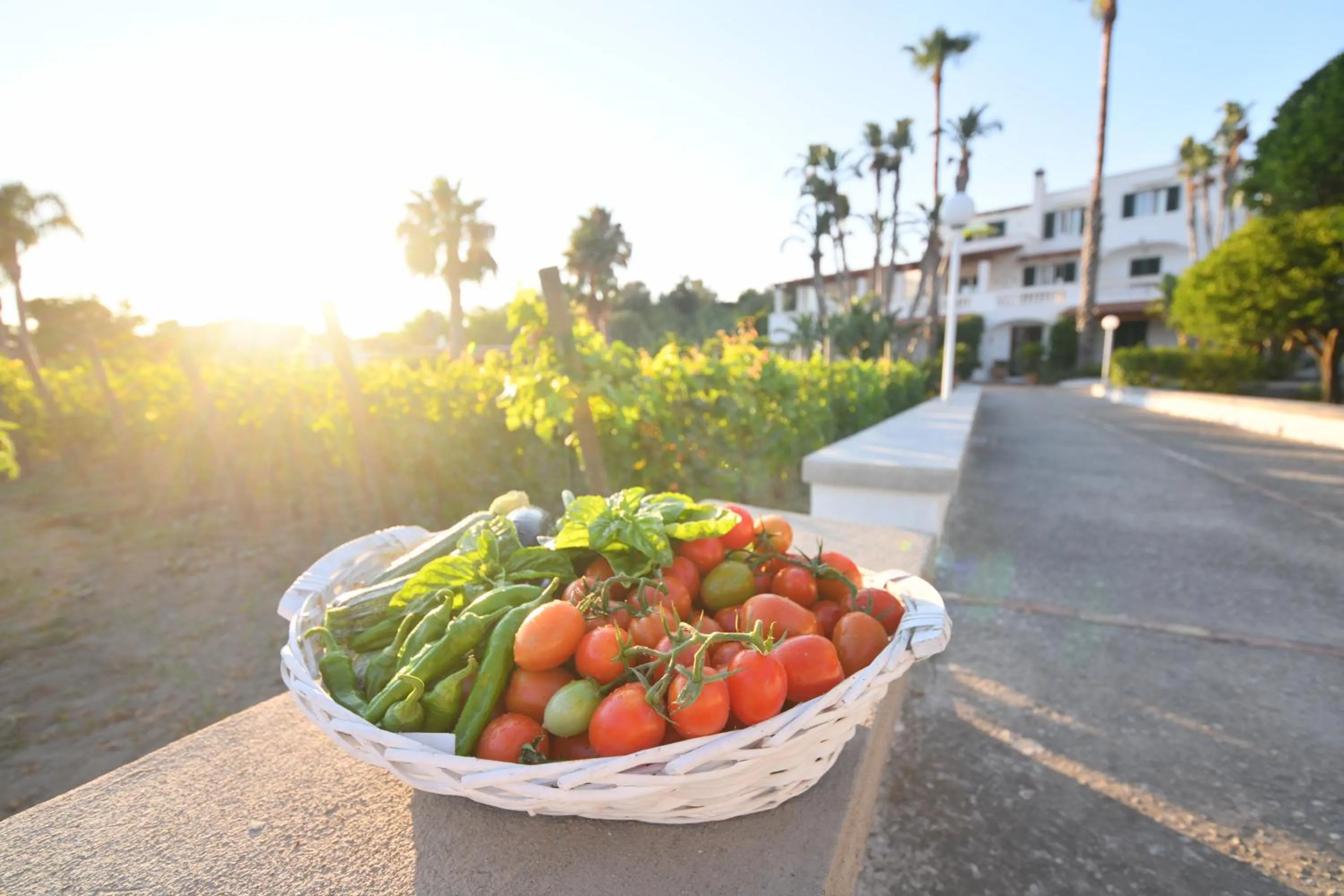 Garden in Residence San Domenico