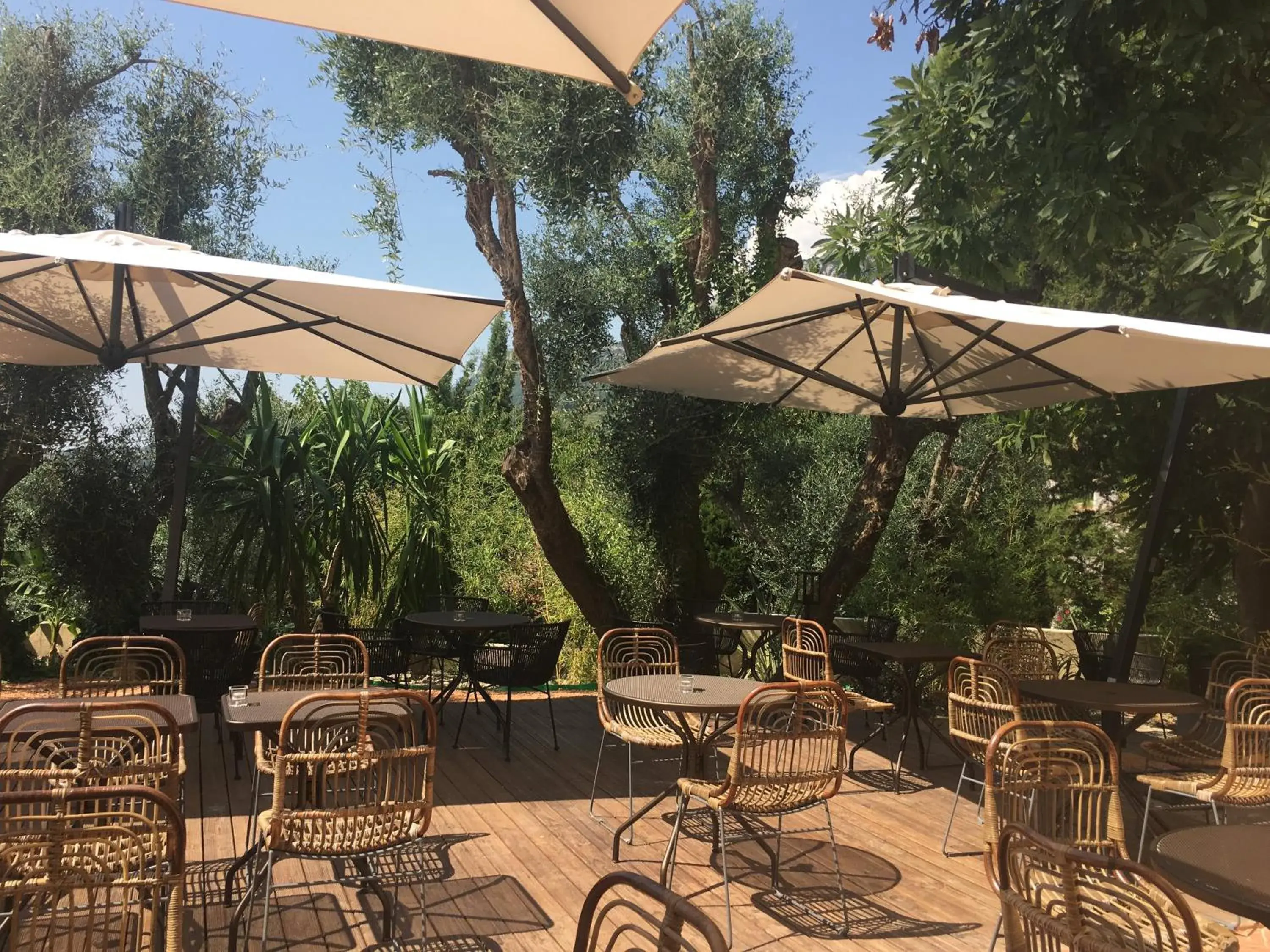 Avocado Hôtel Restaurant Avocado Hôtel Restaurant