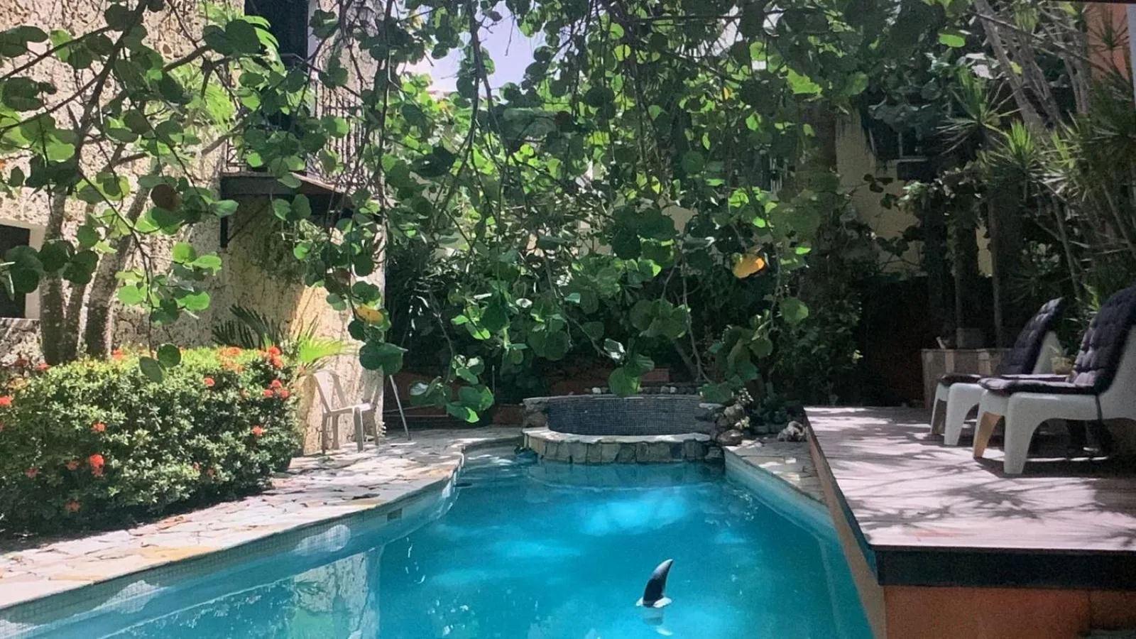 Swimming pool in Manaya Bed & Breakfast