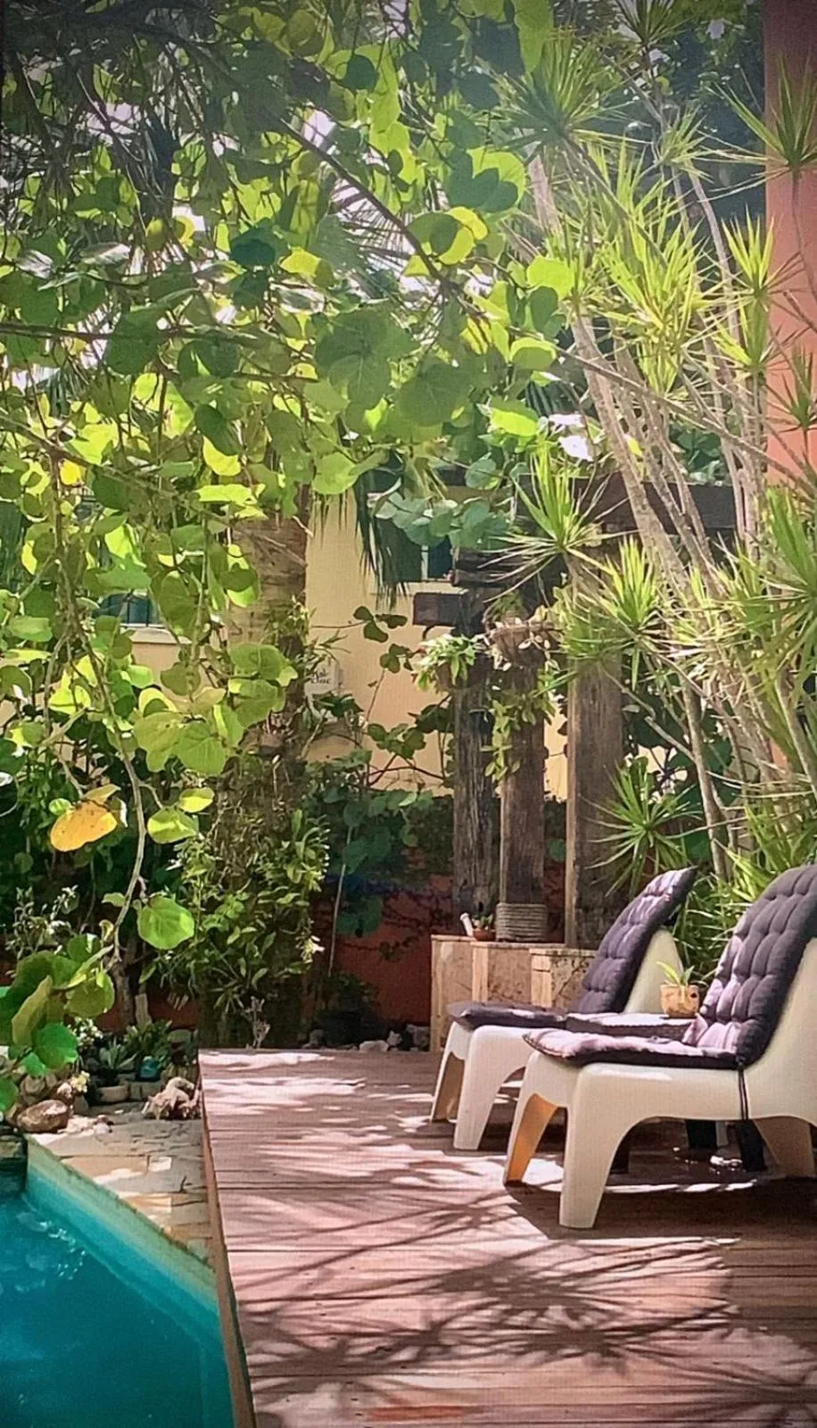 Patio in Manaya Bed & Breakfast