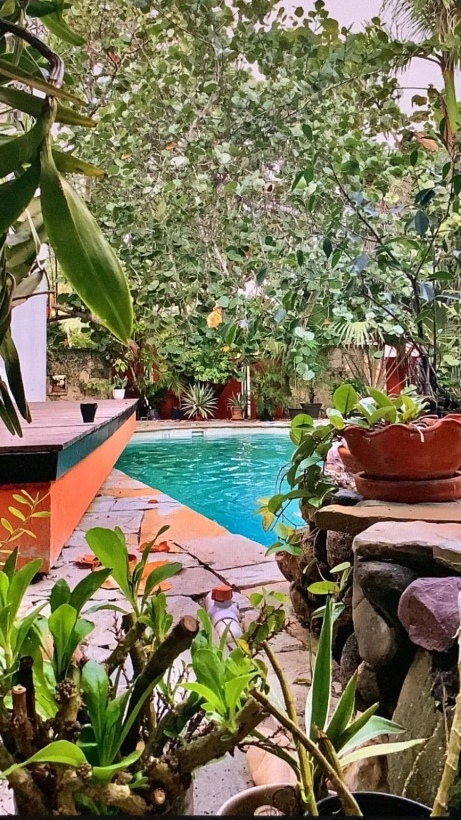 Swimming pool in Manaya Bed & Breakfast