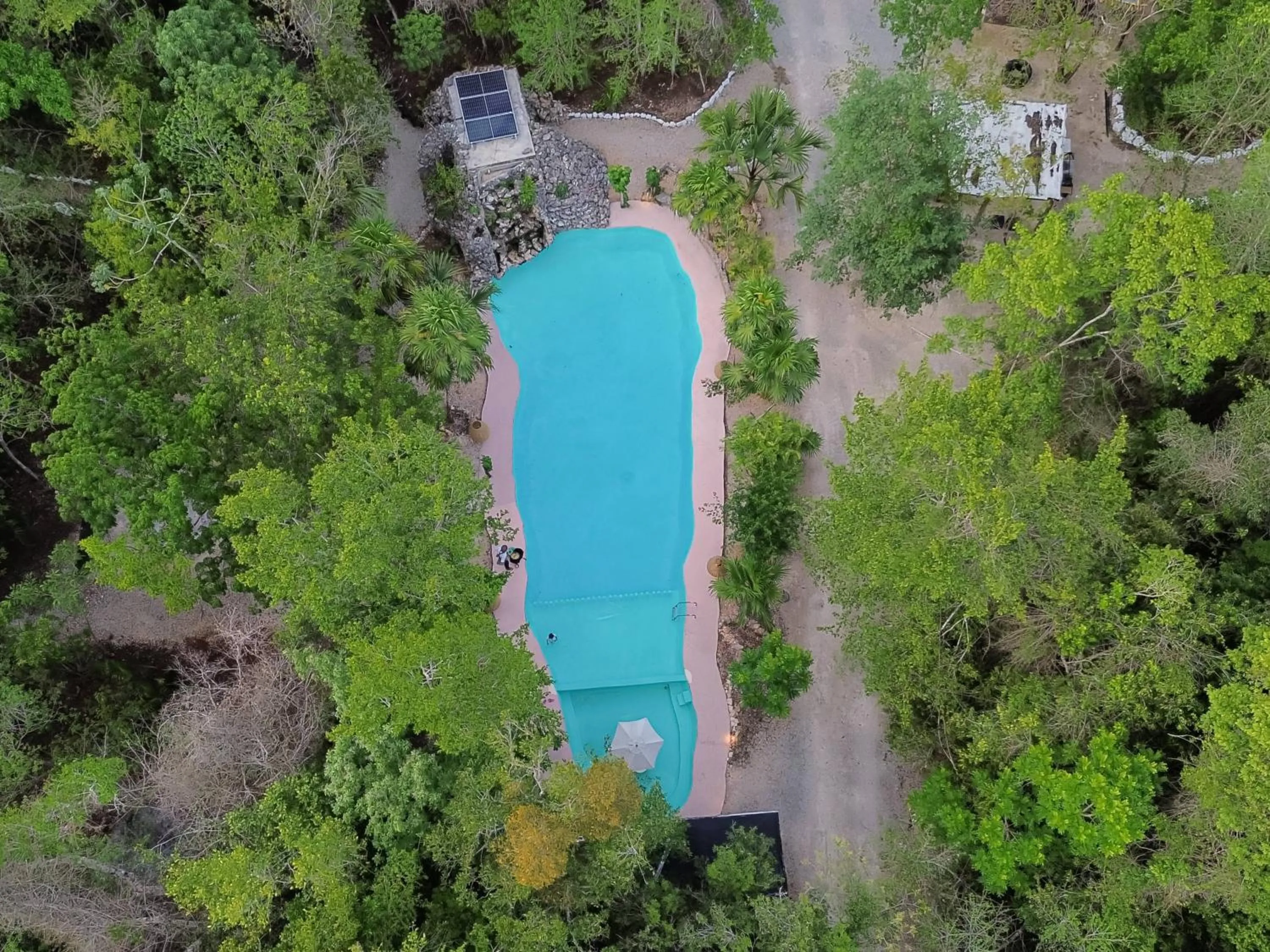 Pool view in Jolie Jungle Eco Hotel