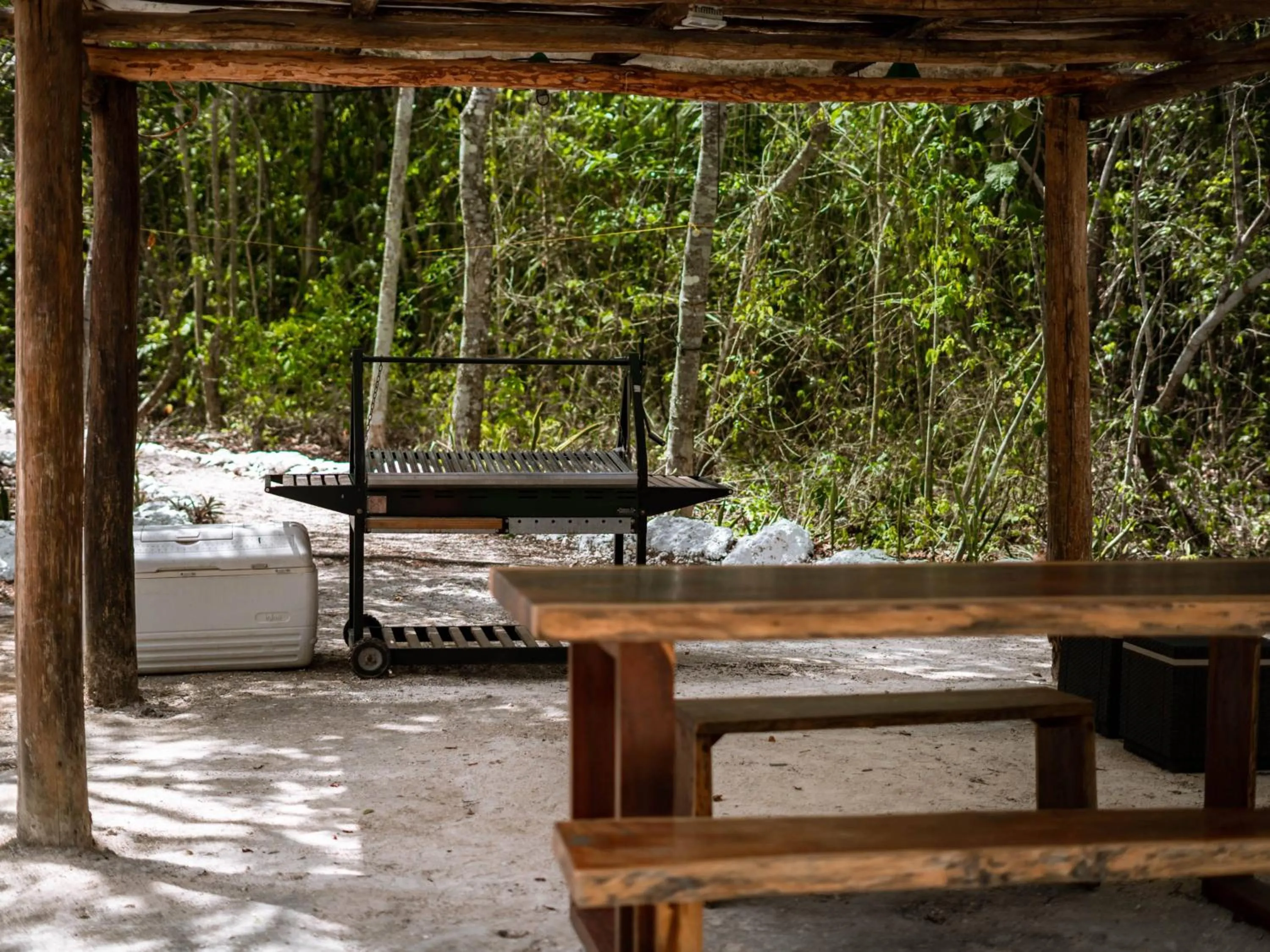 Natural landscape in Jolie Jungle Eco Hotel