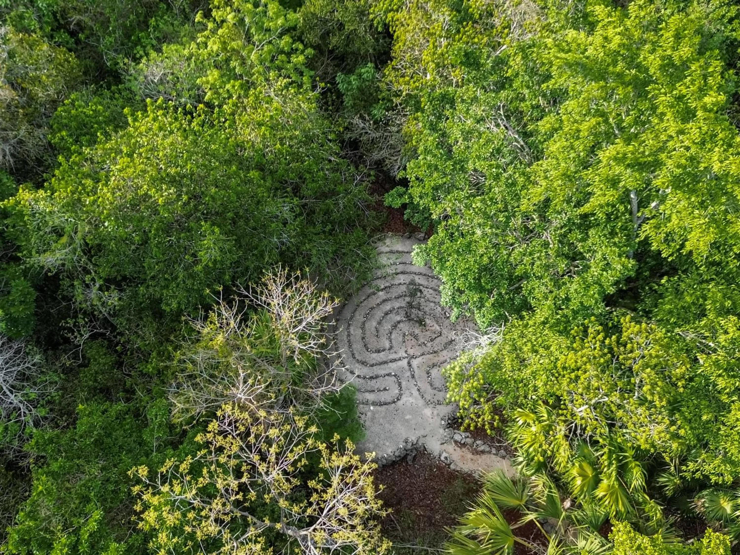 Natural landscape in Jolie Jungle Eco Hotel