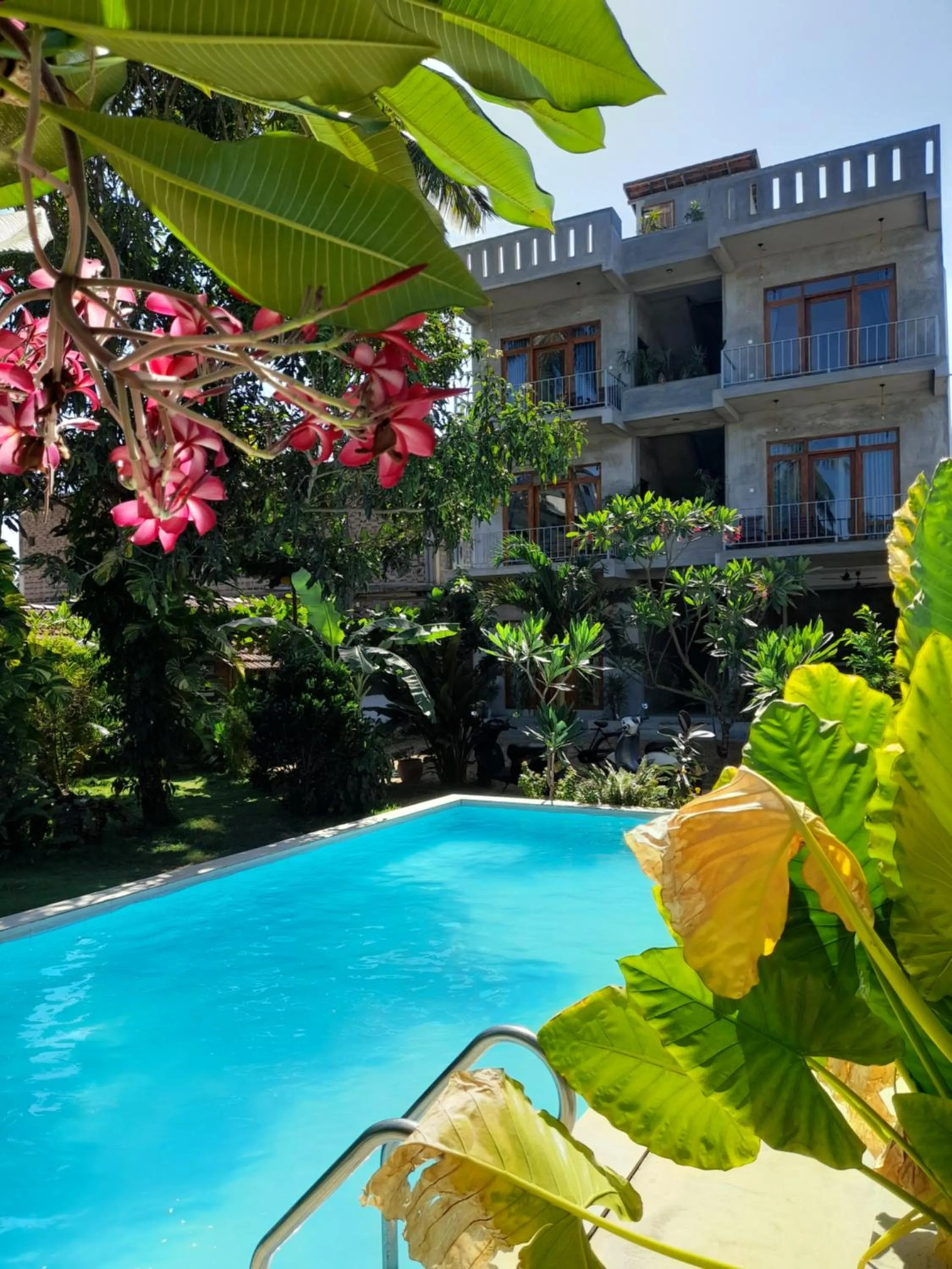Pool view in Surf Gangs Arugambay