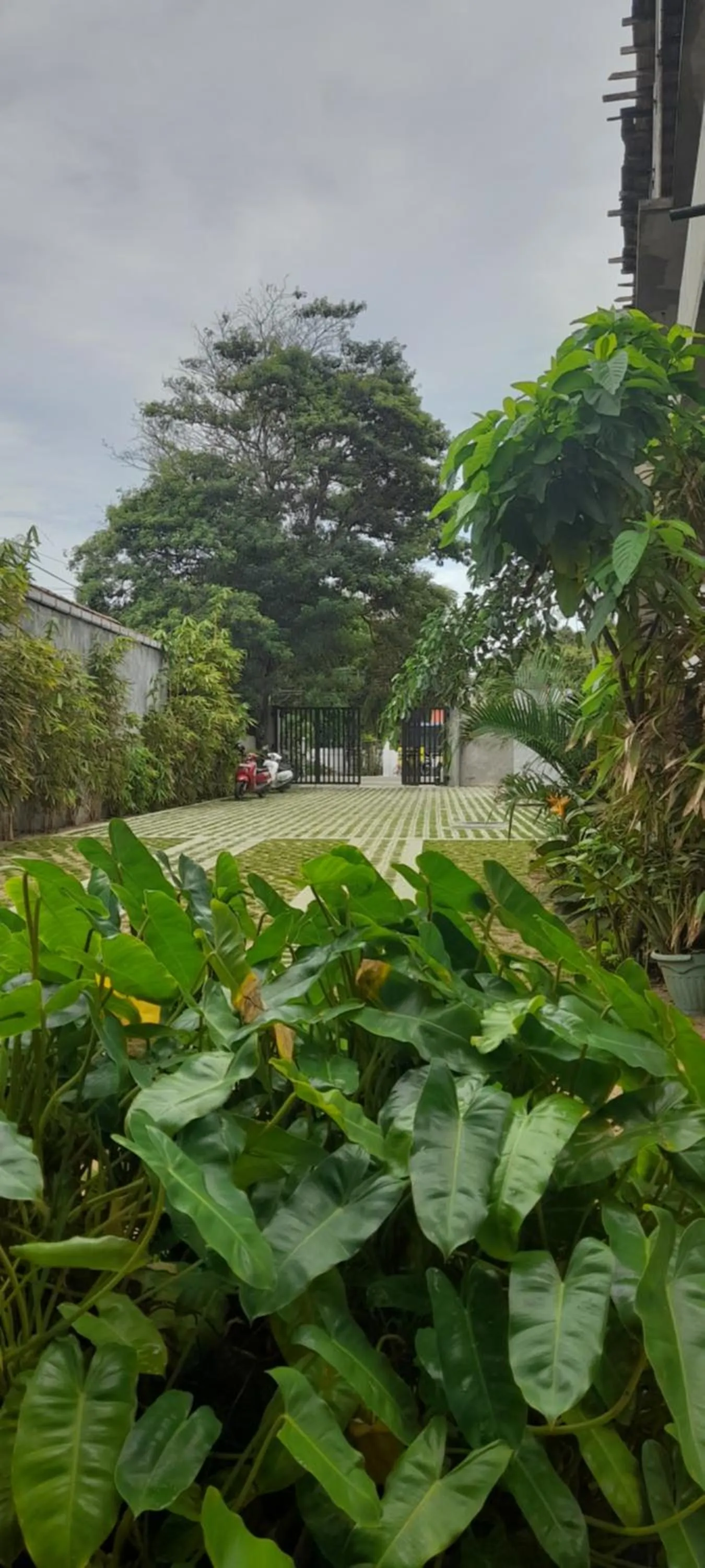 Parking in Surf Gangs Arugambay