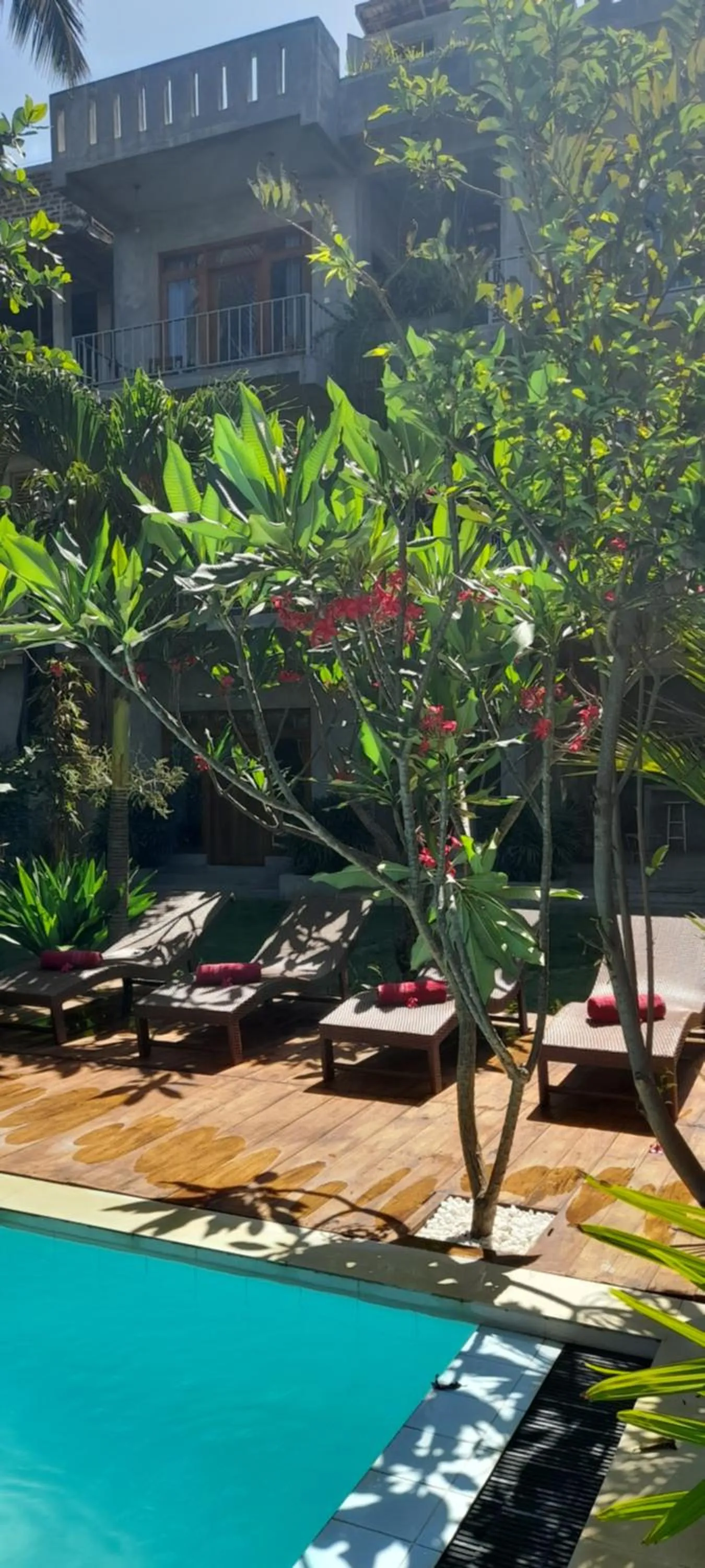 Swimming pool in Surf Gangs Arugambay