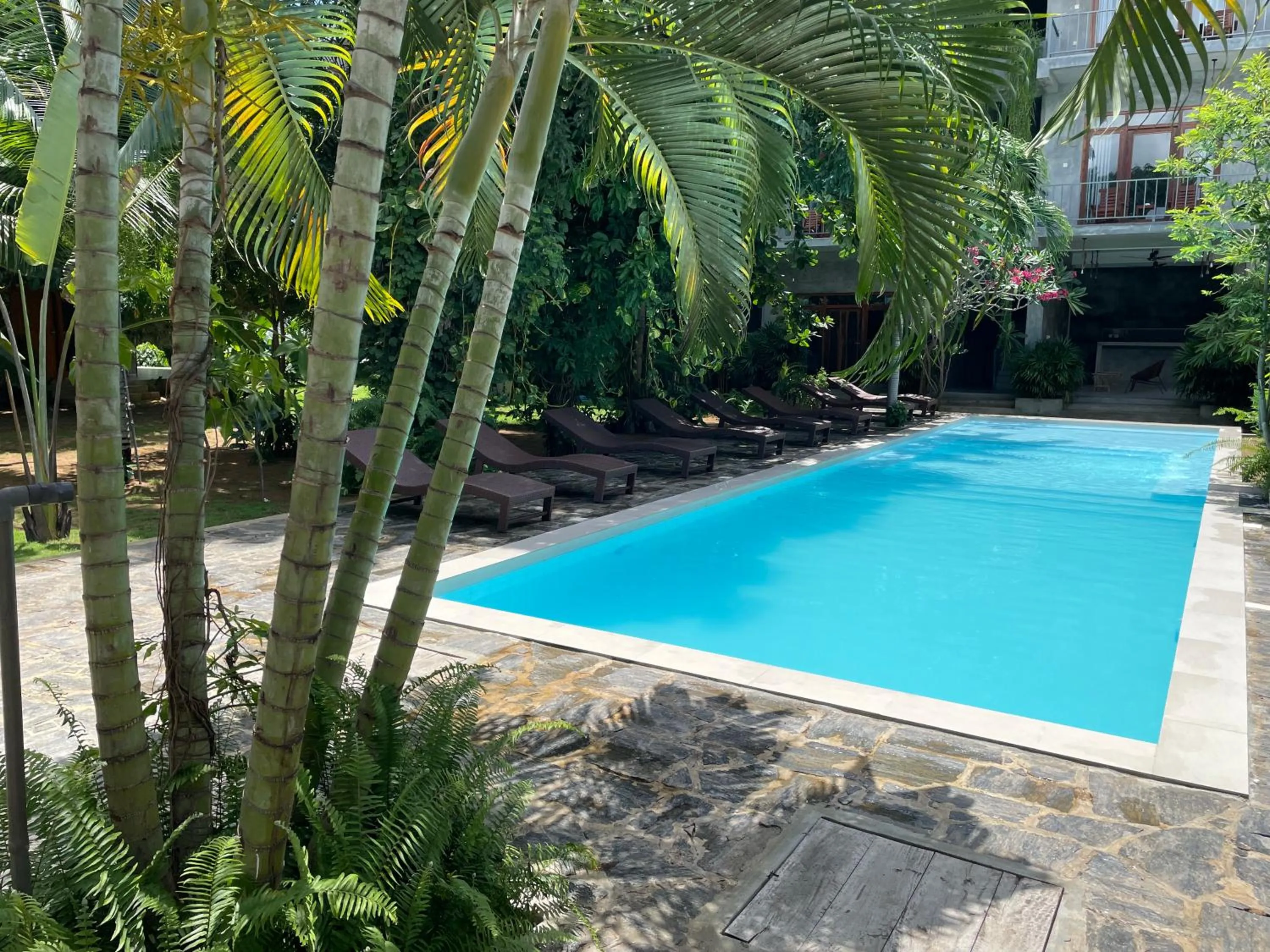 Pool view in Surf Gangs Arugambay