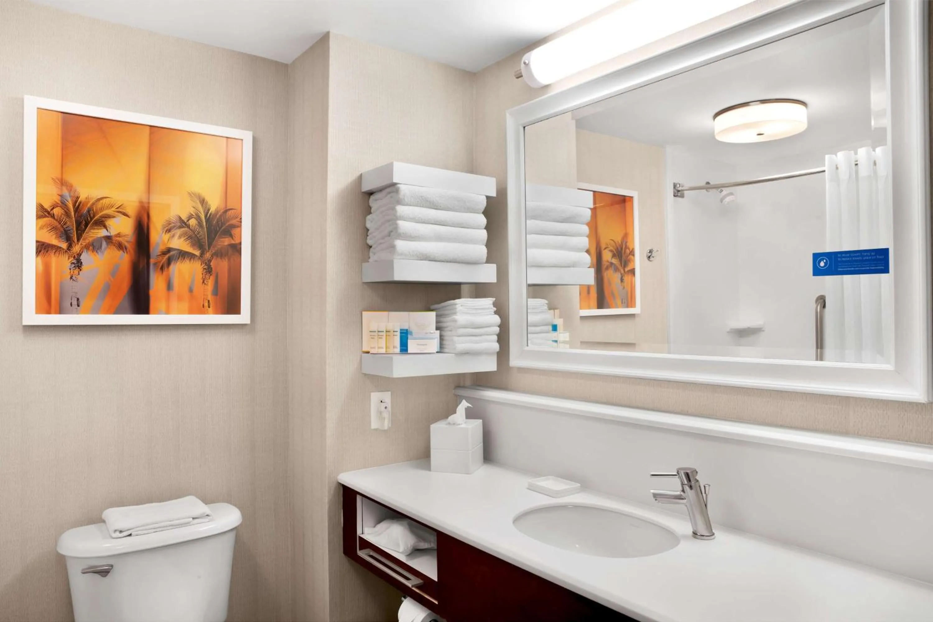 Bathroom in Hampton Inn Hallandale Beach-Aventura