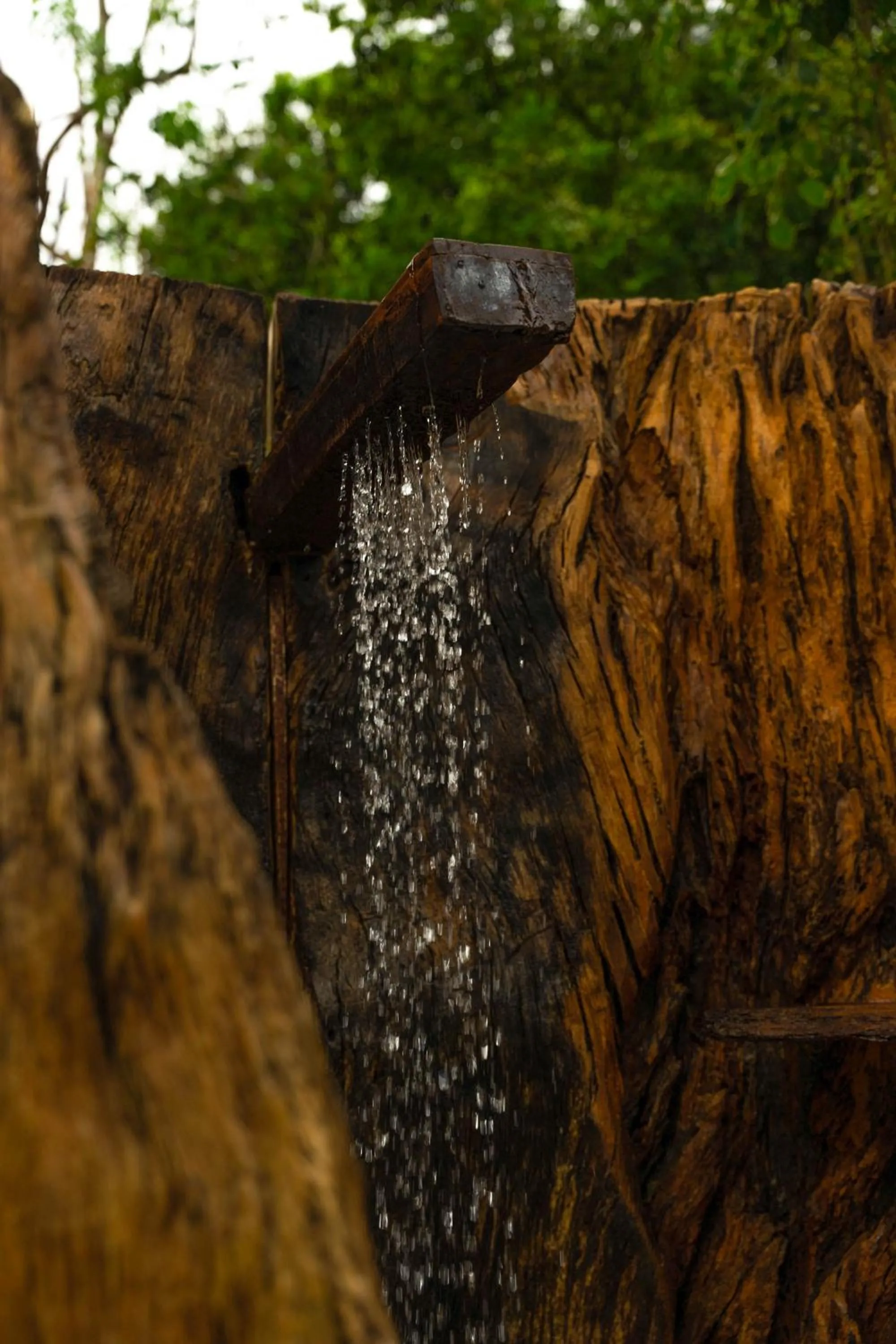 Pousada Raízes do Brasil