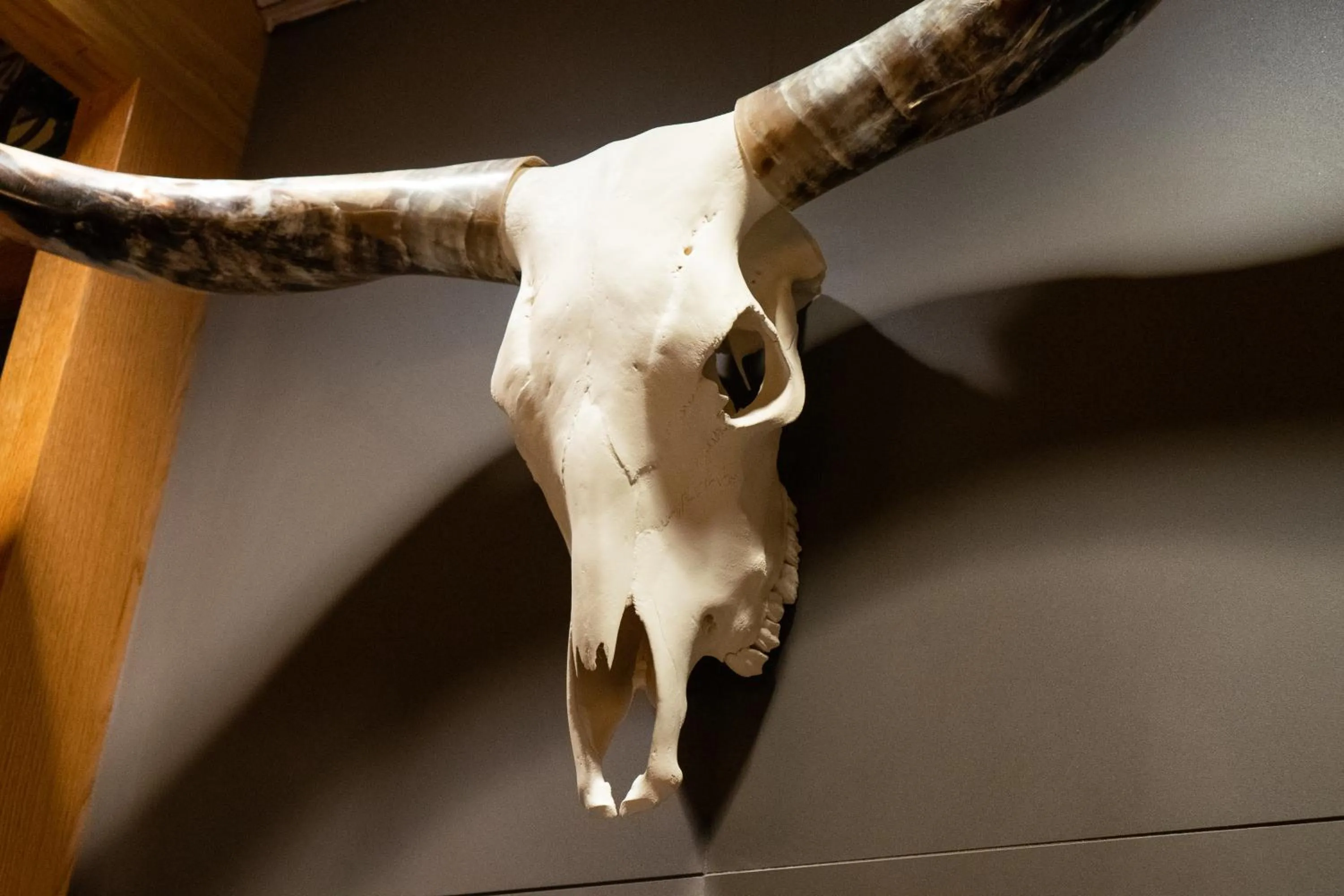 Restaurant/places to eat in Embassy Suites by Hilton Fort Worth Downtown