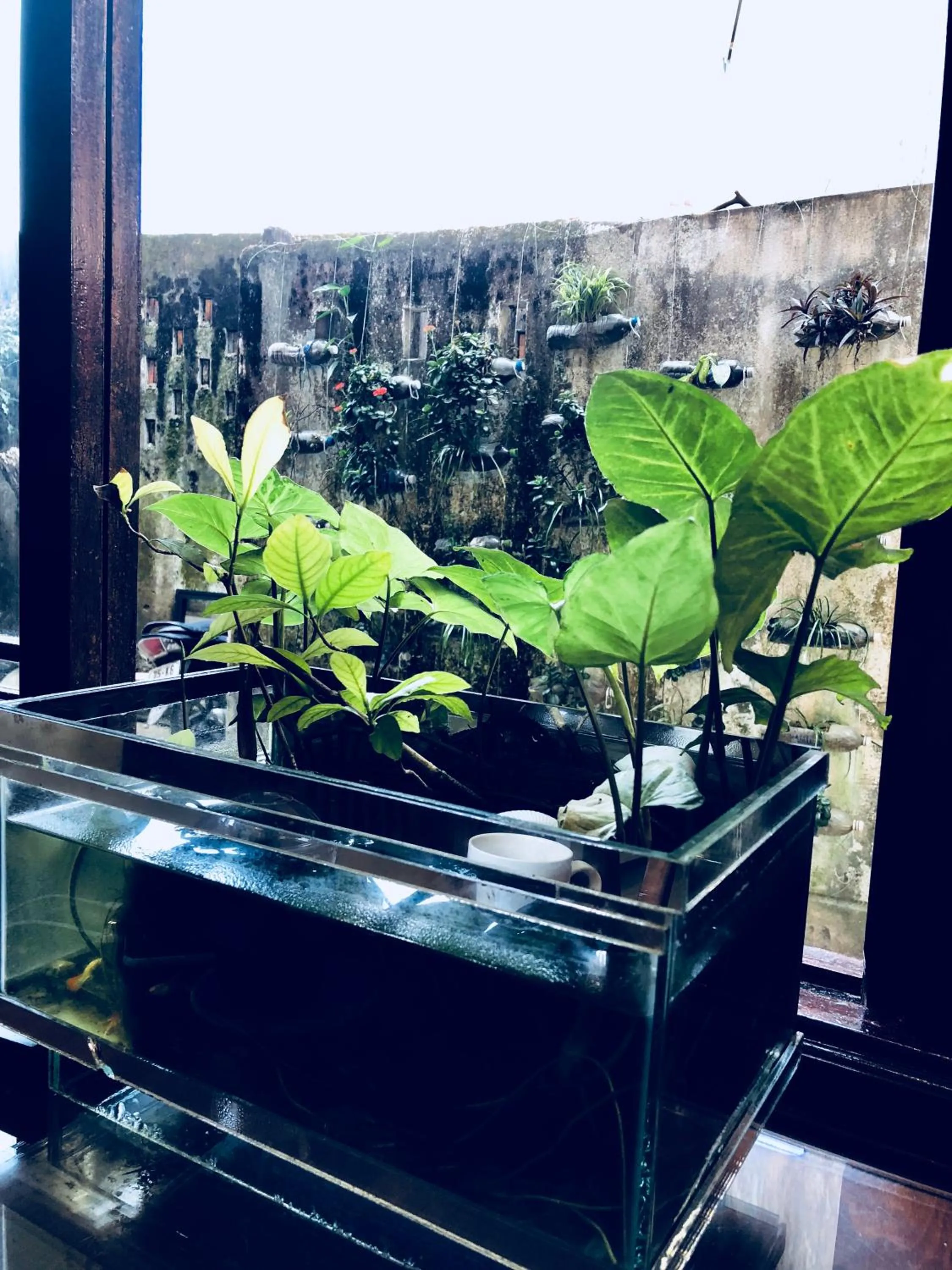 Star Binh Duong Hotel