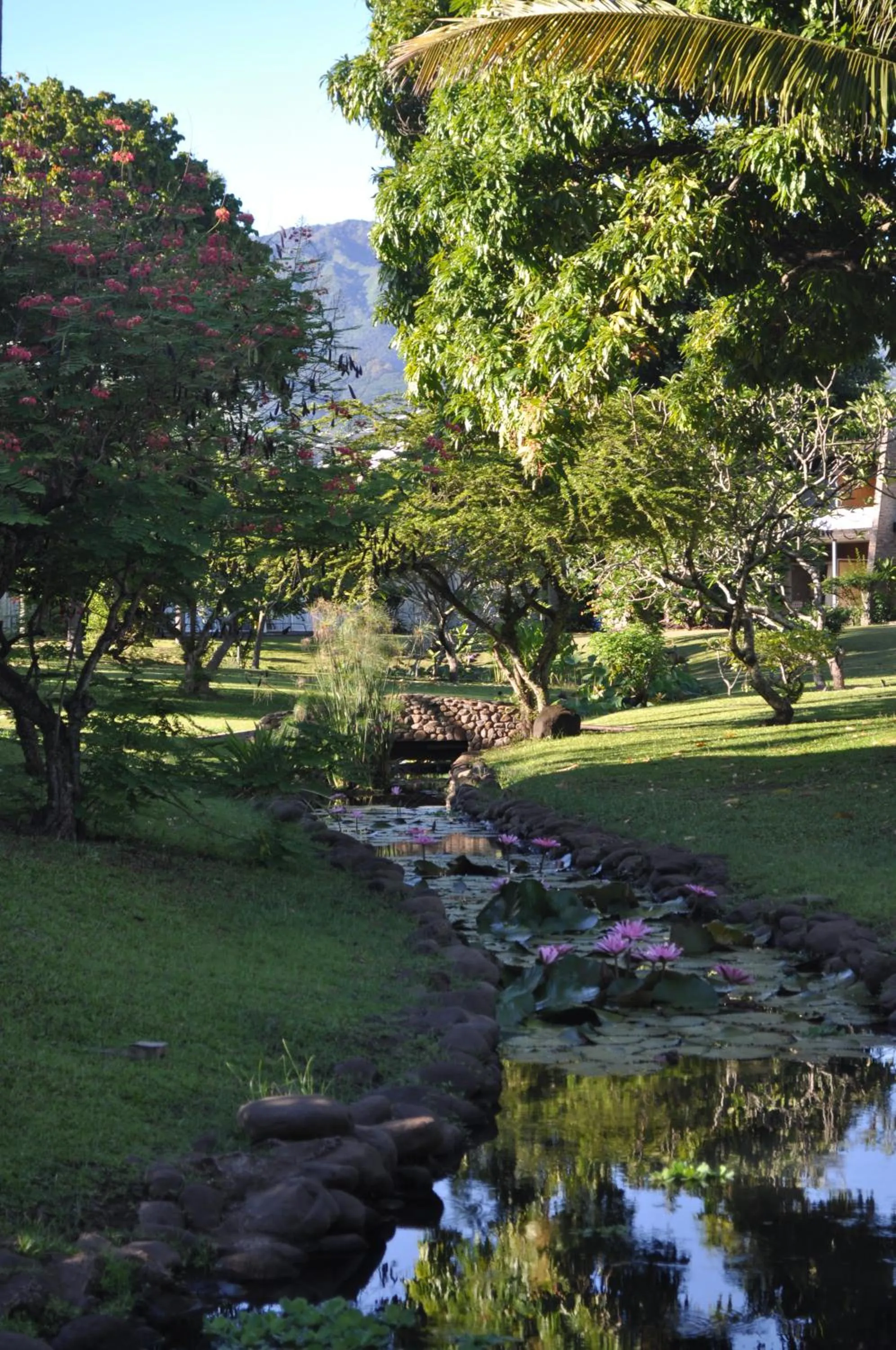 Garden in Royal Tahitien